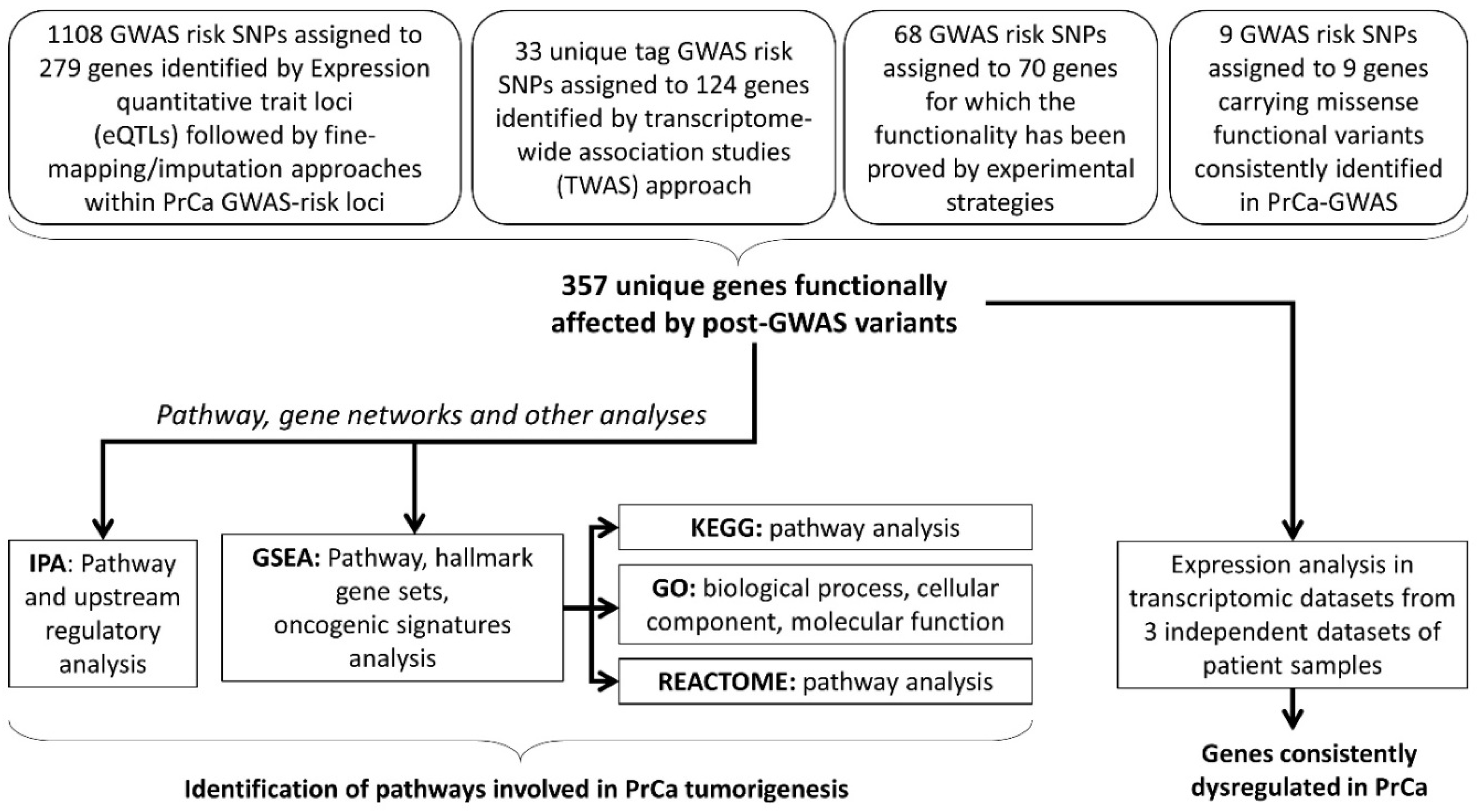 Genes 11 00526 g001