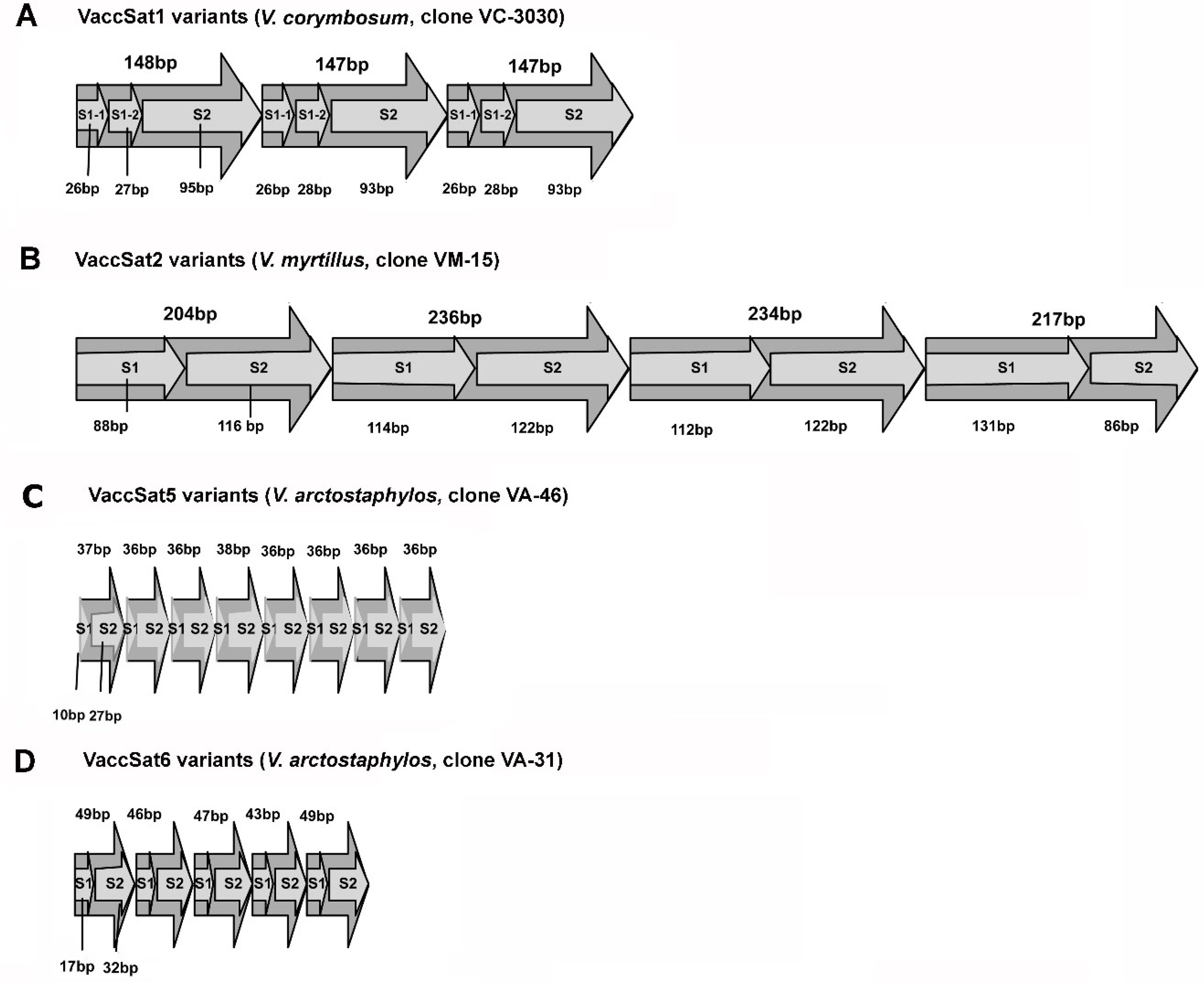 Genes 11 00527 g002 Genes 11 00527 g002