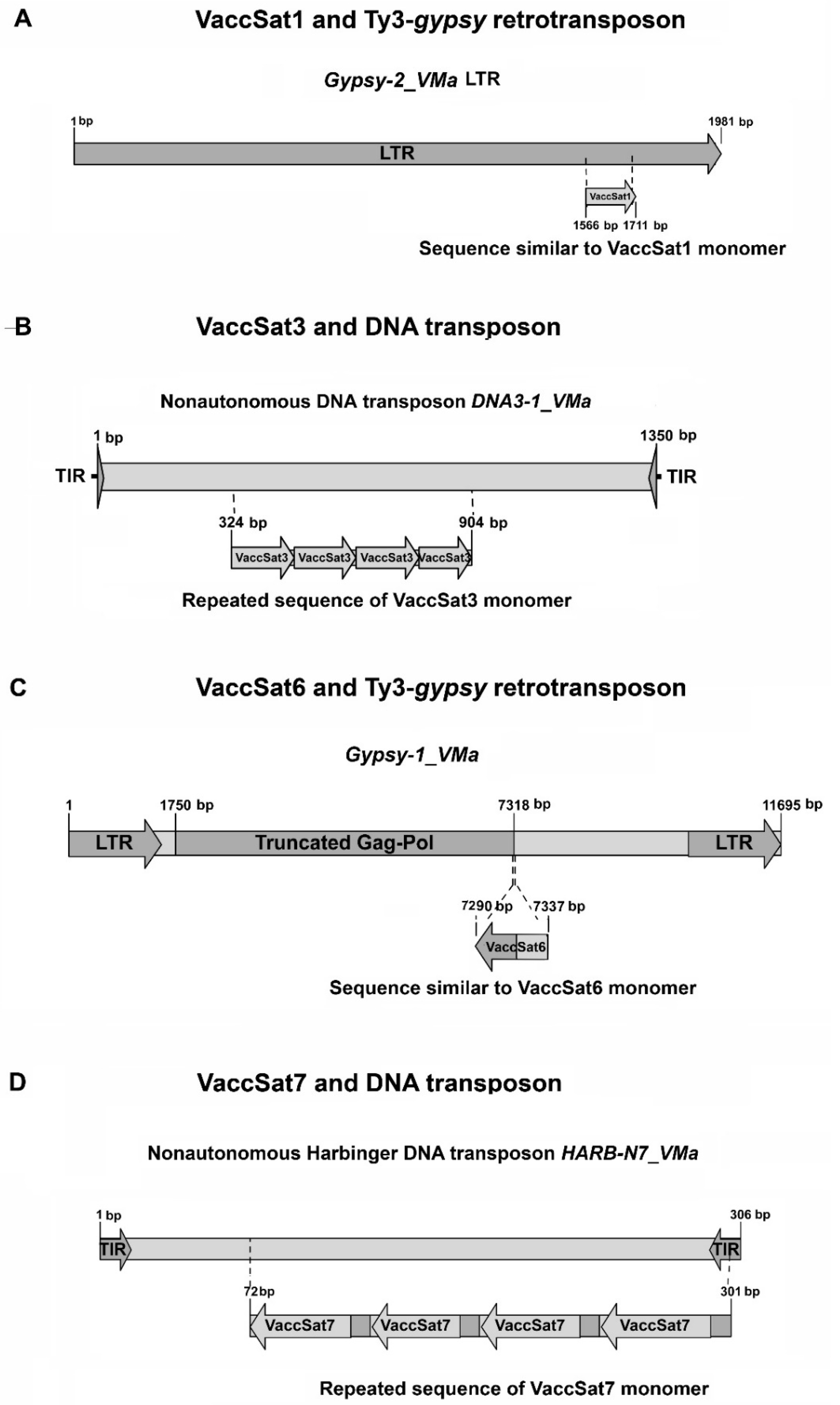 Genes 11 00527 g004 Genes 11 00527 g004