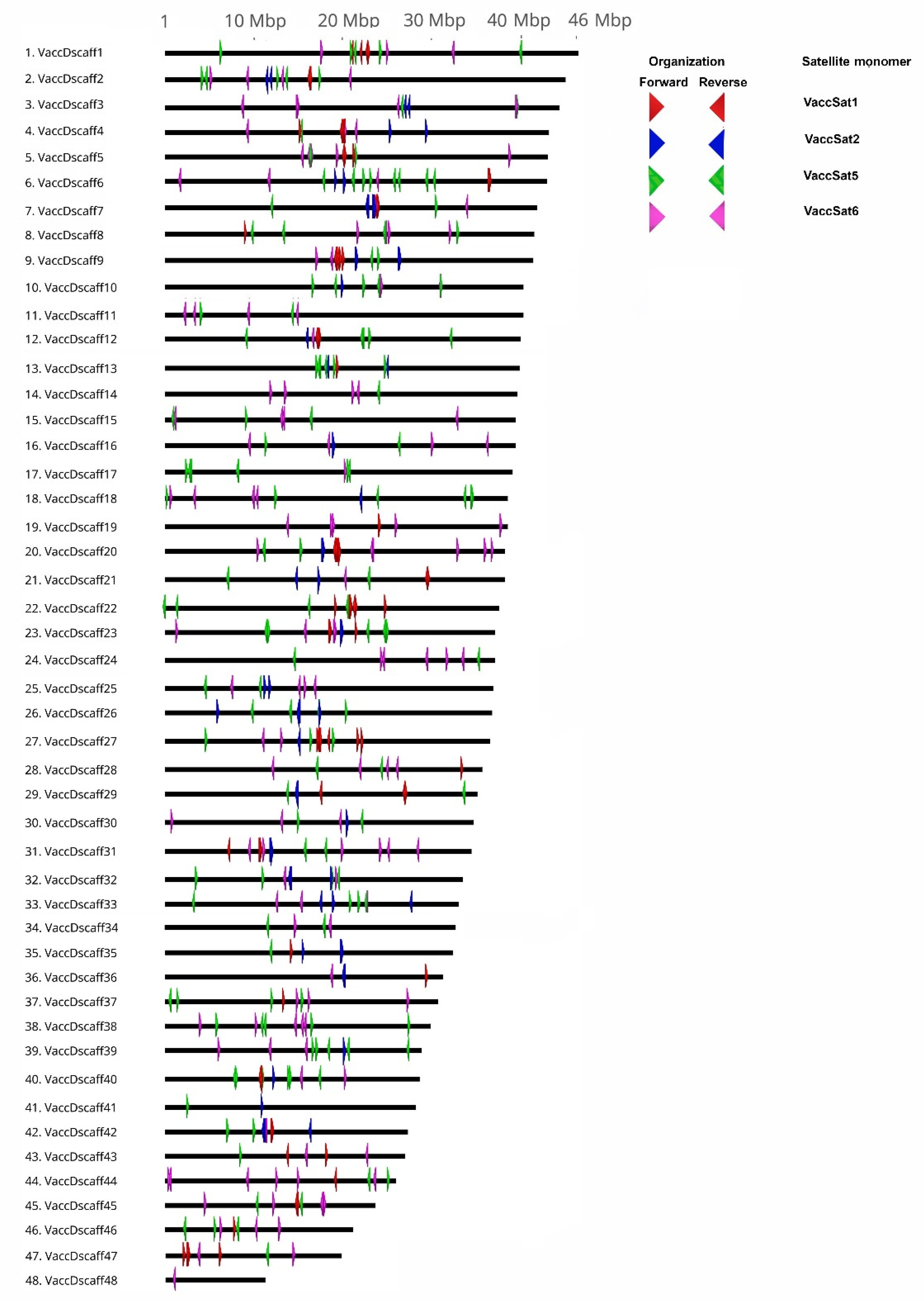 Genes 11 00527 g005 Genes 11 00527 g005