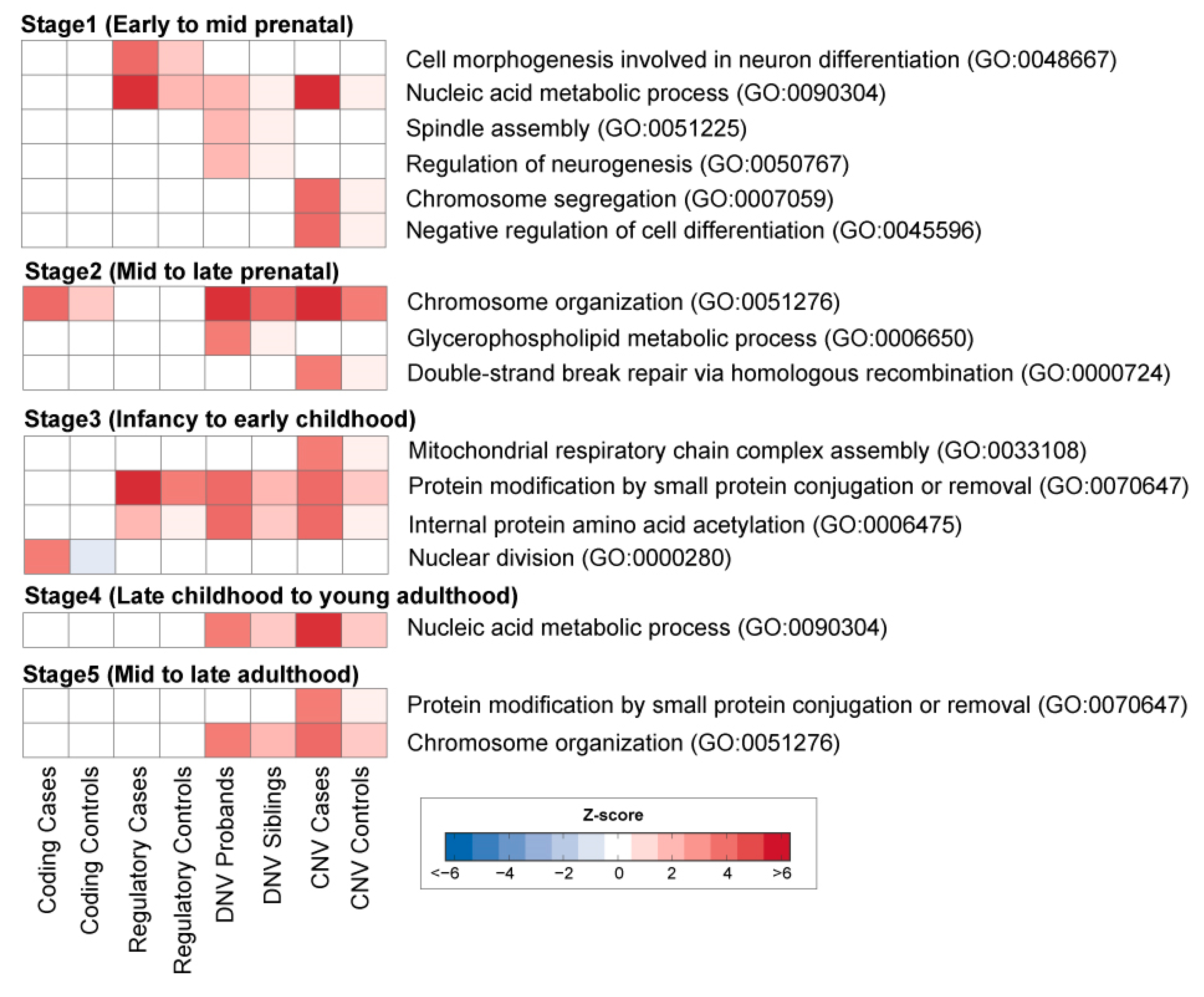 Genes 11 00535 g002