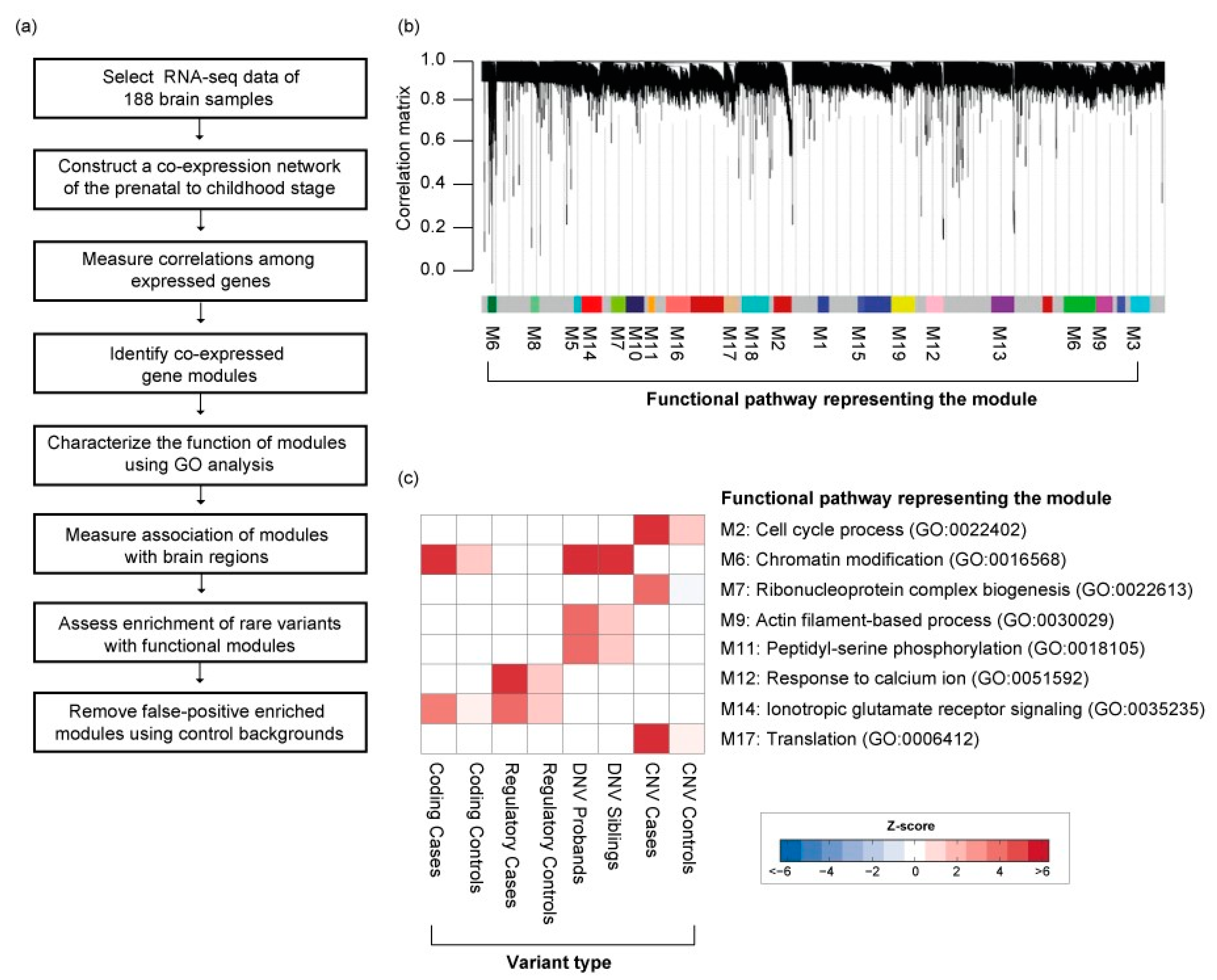 Genes 11 00535 g003