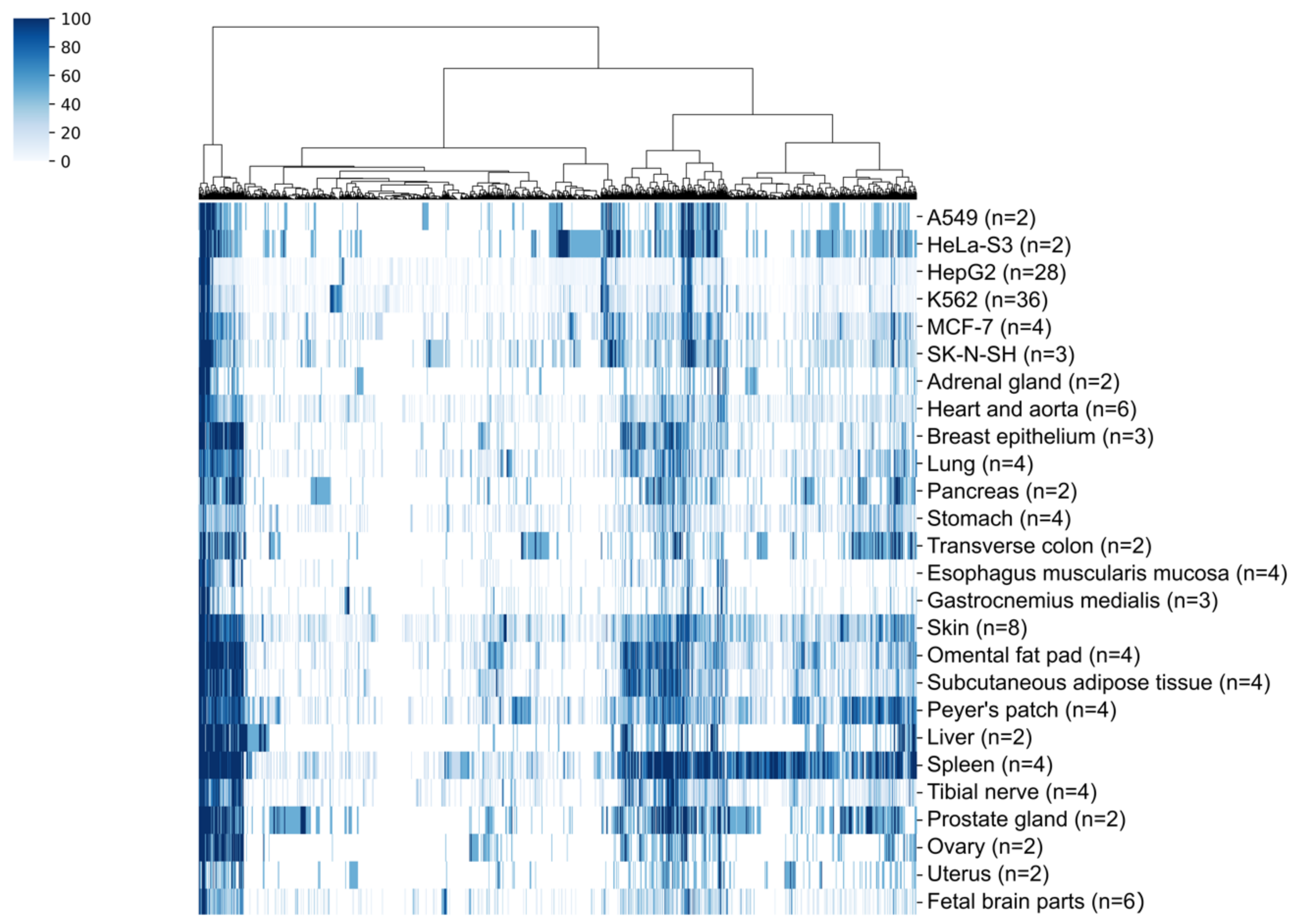 Genes 11 00542 g003 Genes 11 00542 g003