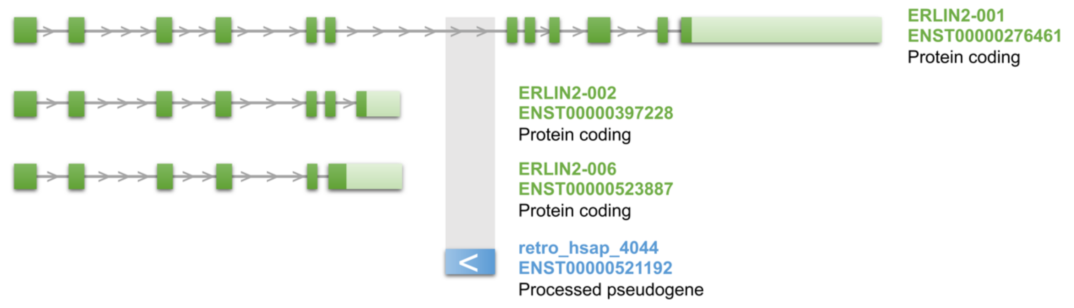Genes 11 00542 g006 Genes 11 00542 g006