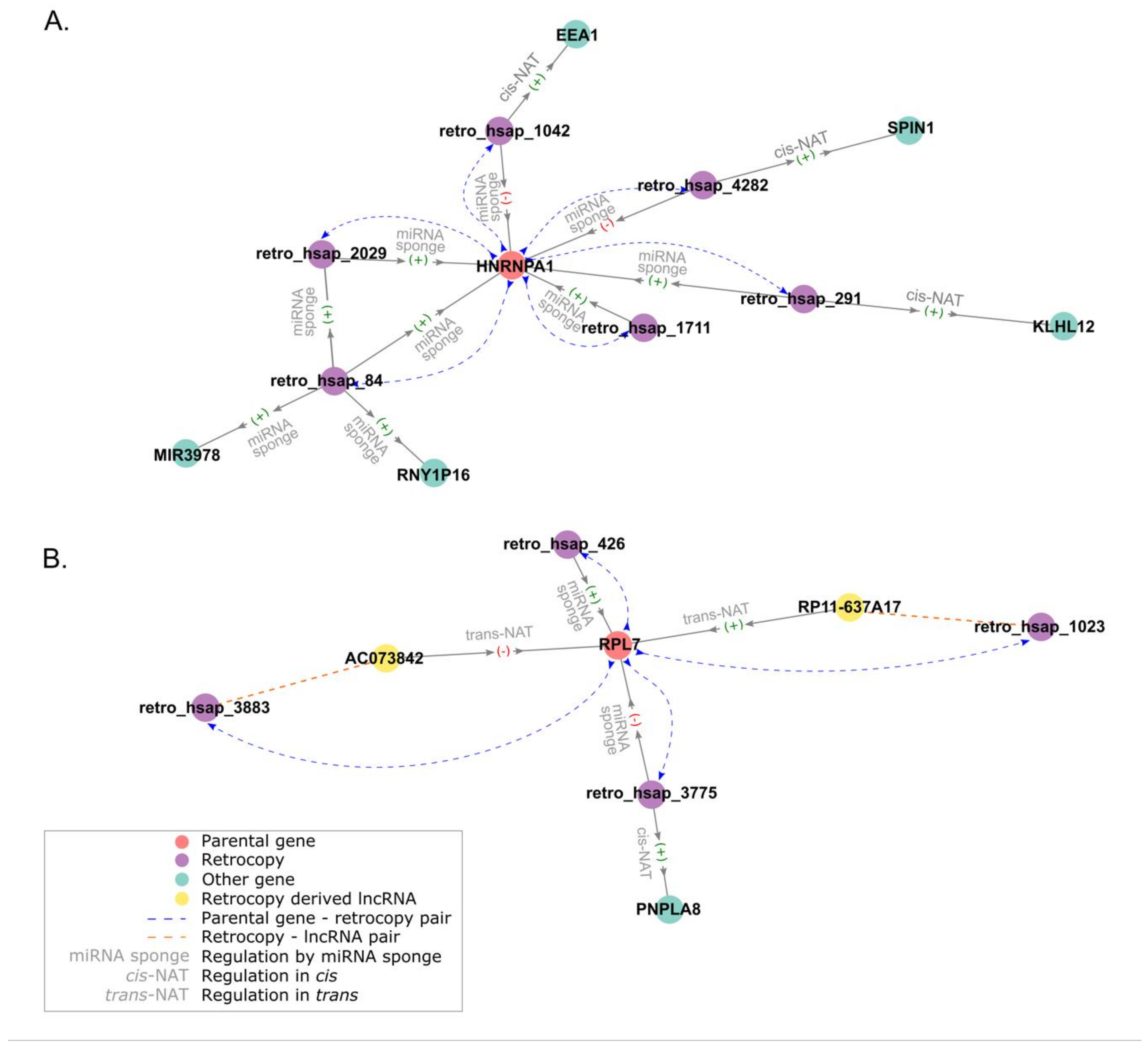 Genes 11 00542 g007 Genes 11 00542 g007