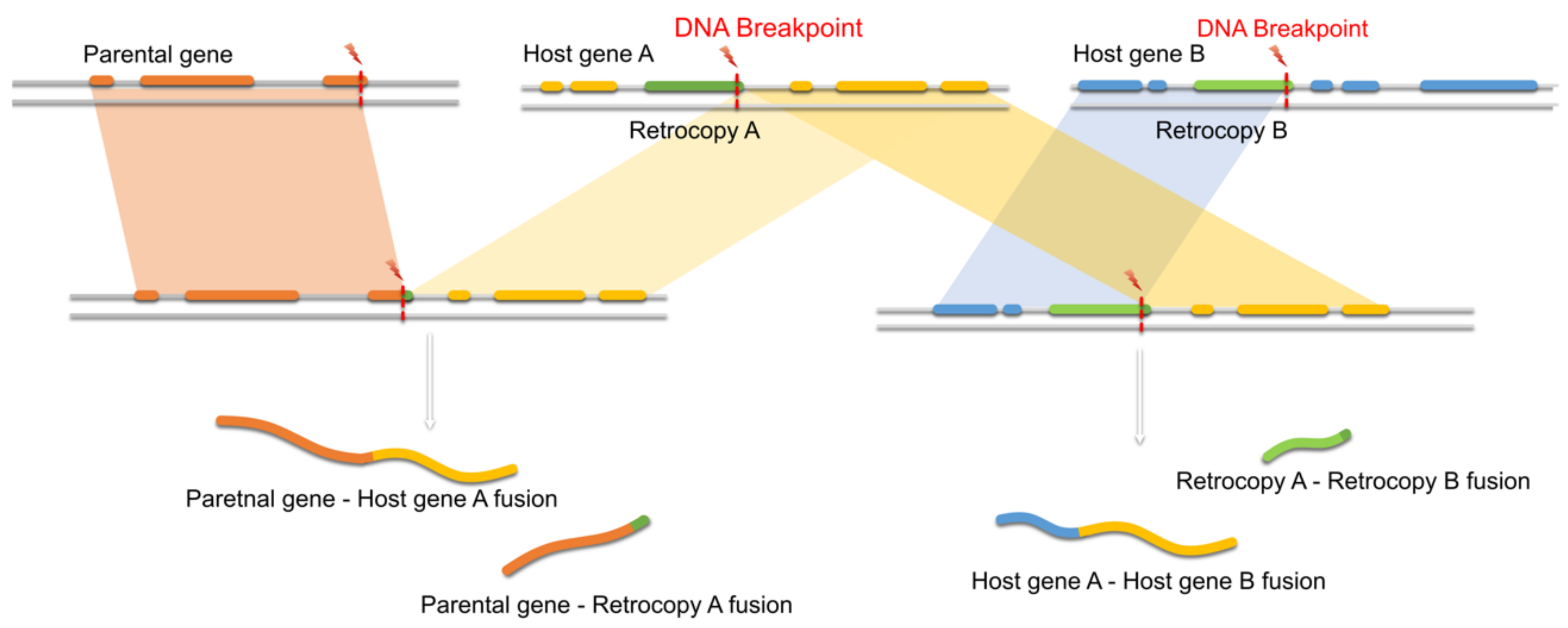 Genes 11 00542 g009 Genes 11 00542 g009