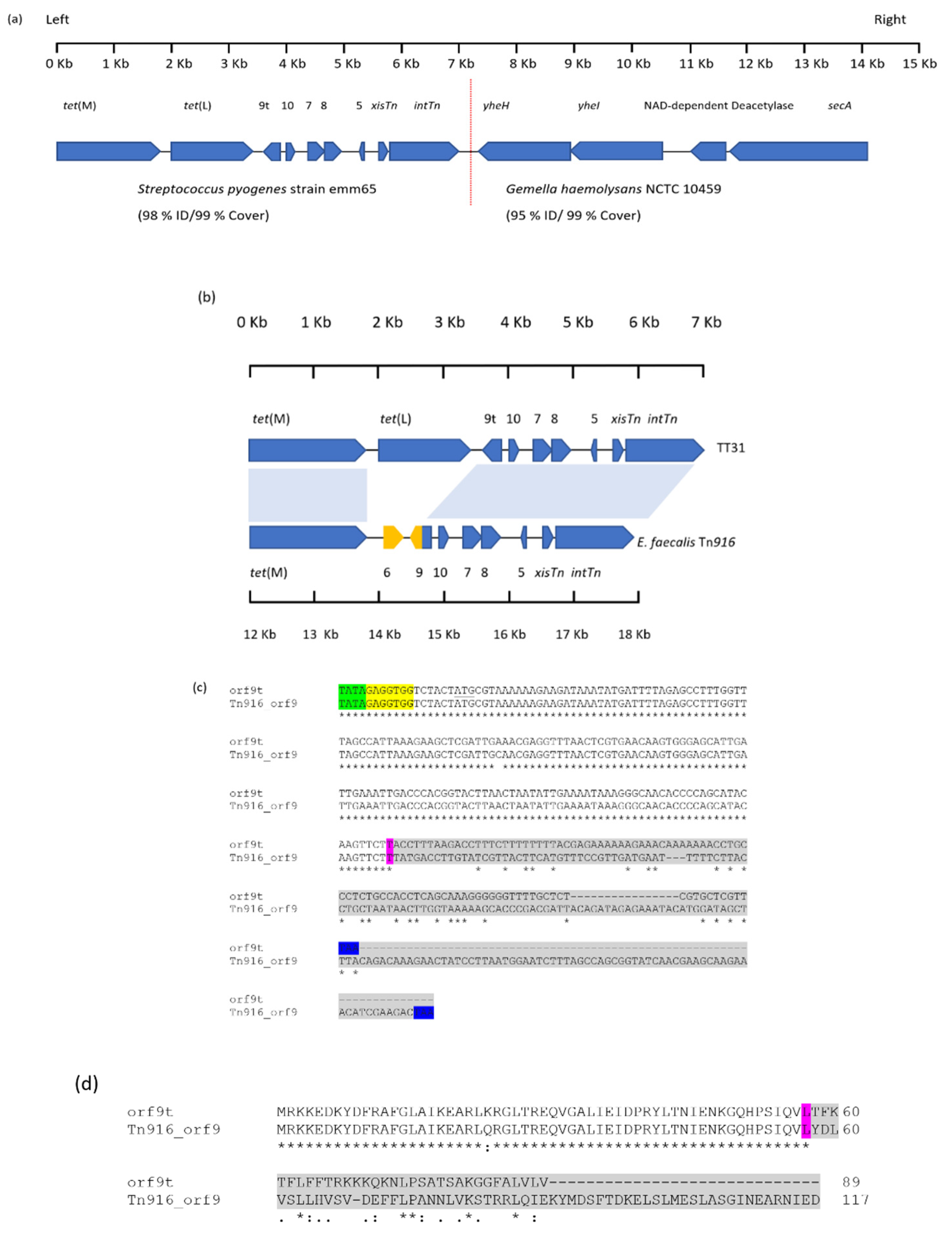 Genes 11 00548 g001 Genes 11 00548 g001
