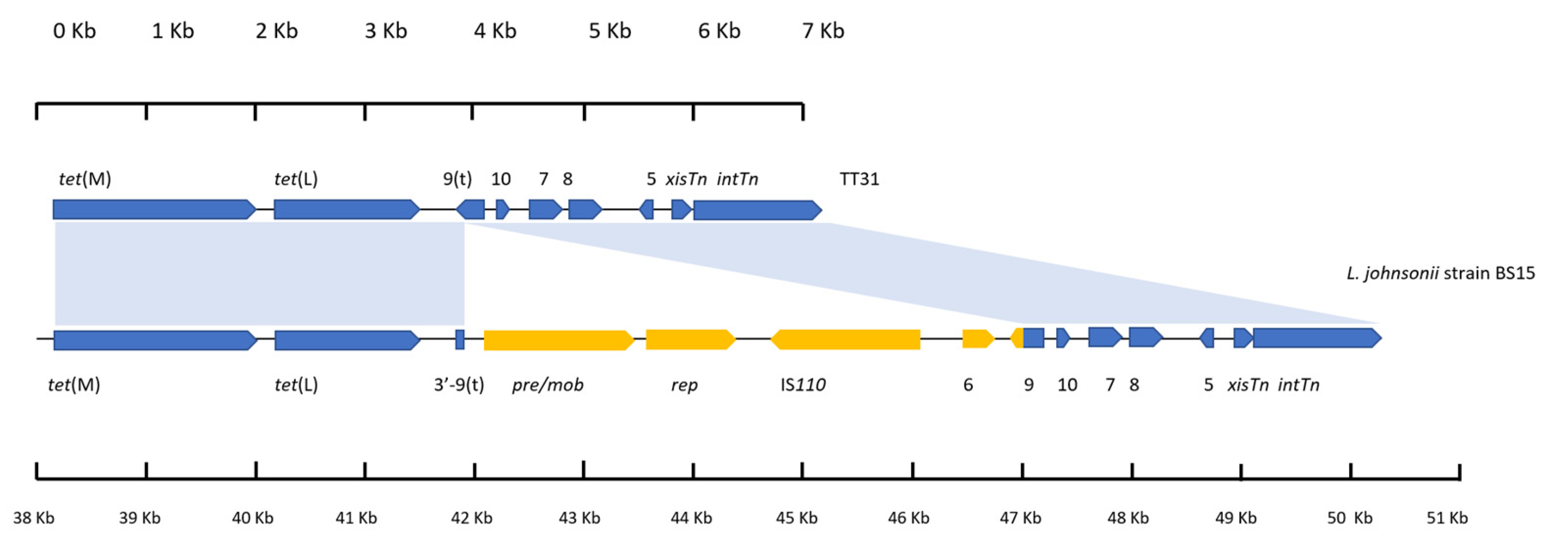Genes 11 00548 g002 Genes 11 00548 g002
