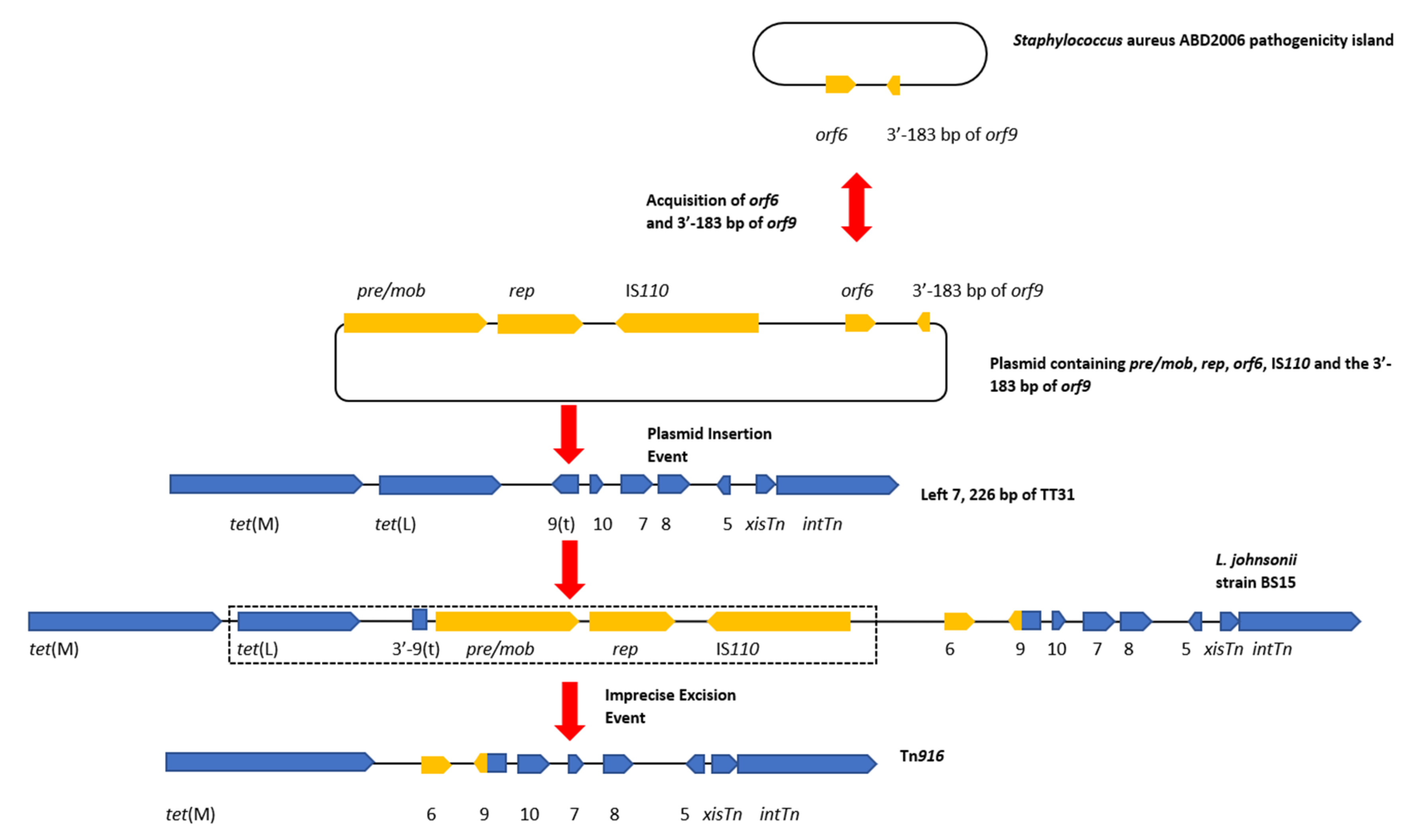 Genes 11 00548 g004 Genes 11 00548 g004