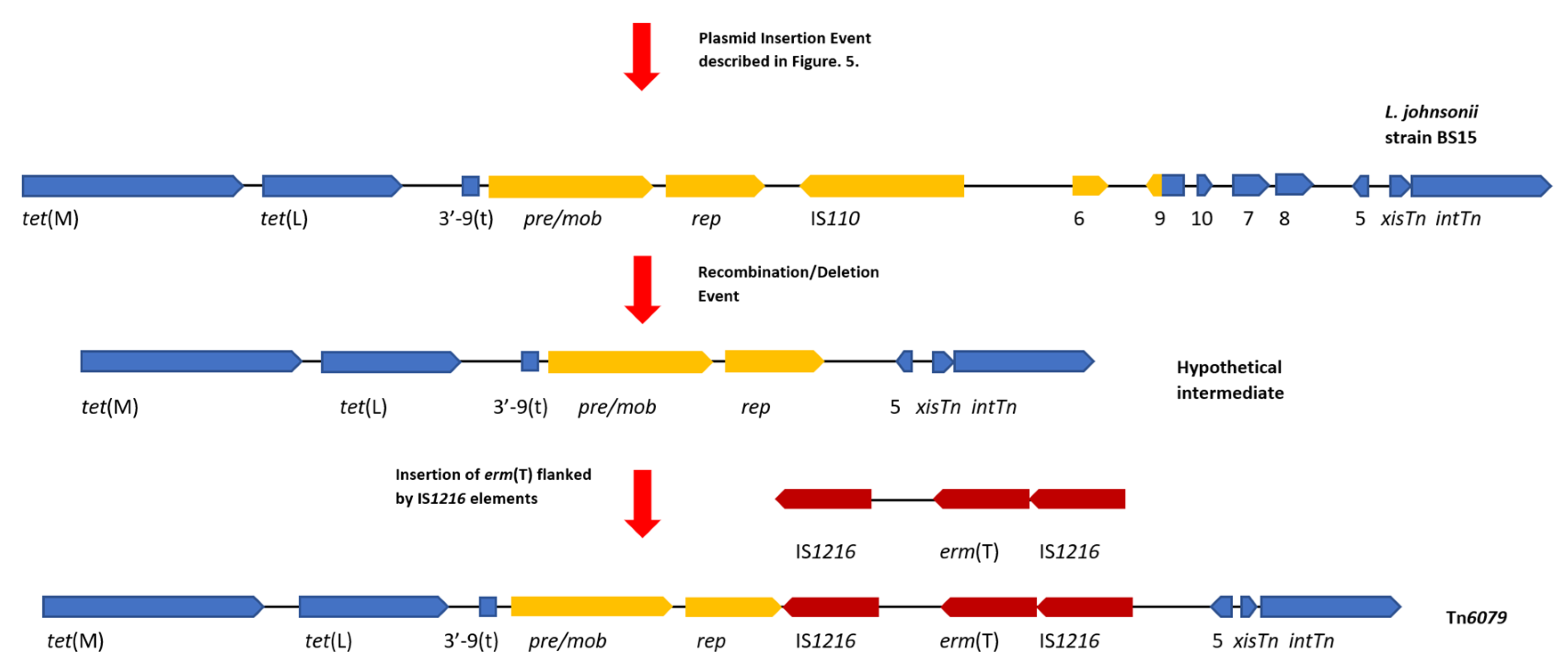 Genes 11 00548 g005 Genes 11 00548 g005