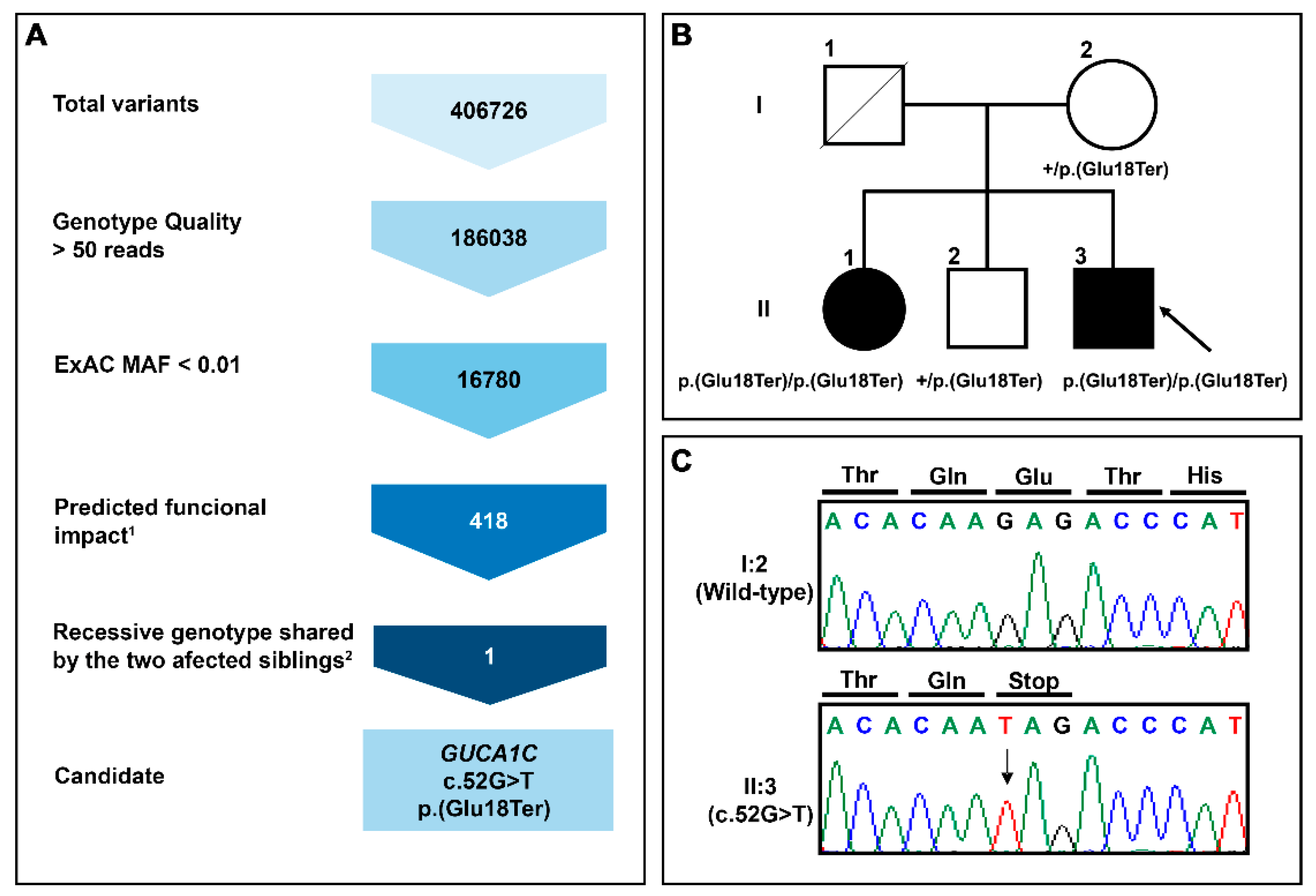 Genes 11 00550 g001