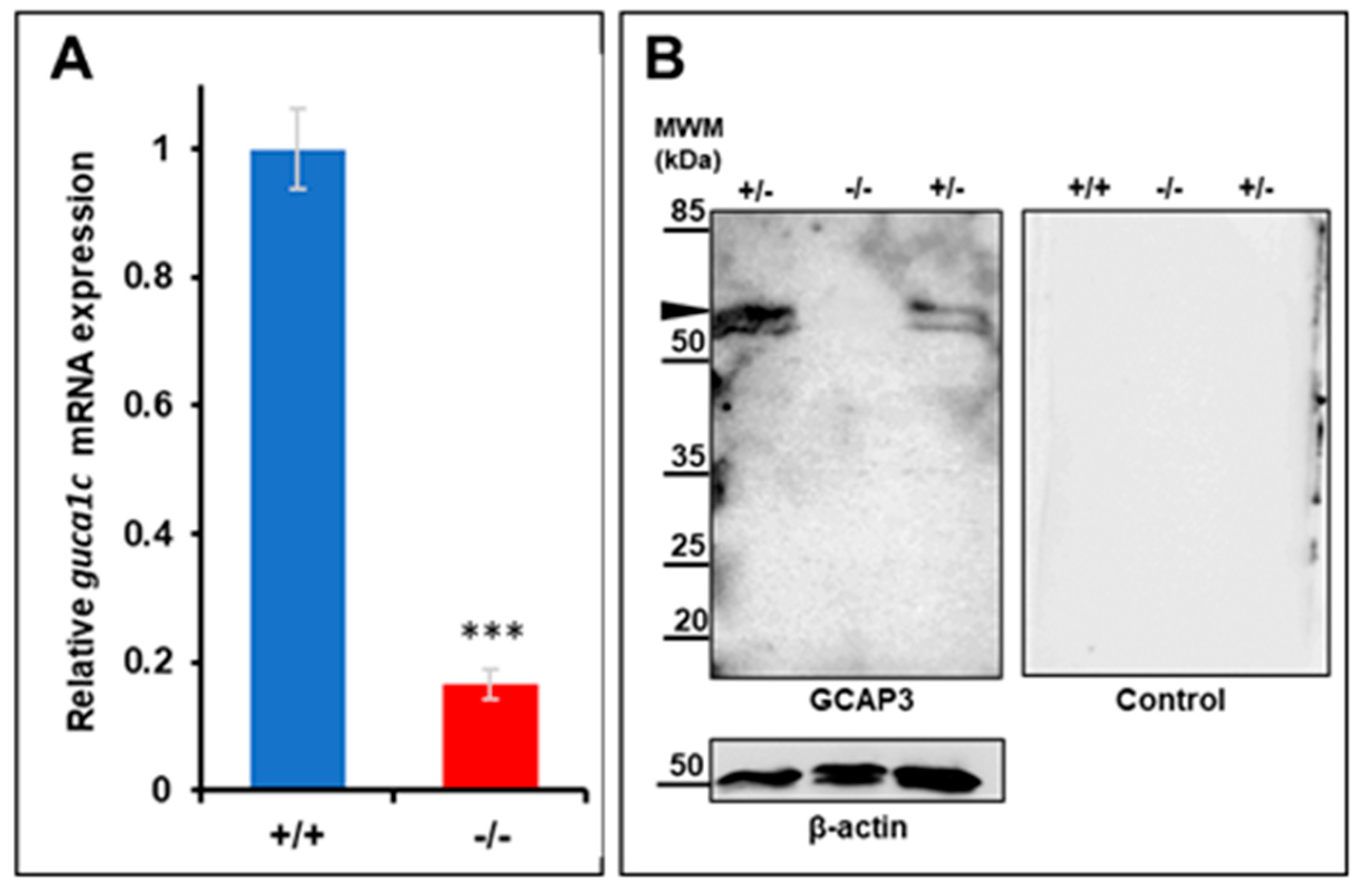 Genes 11 00550 g005