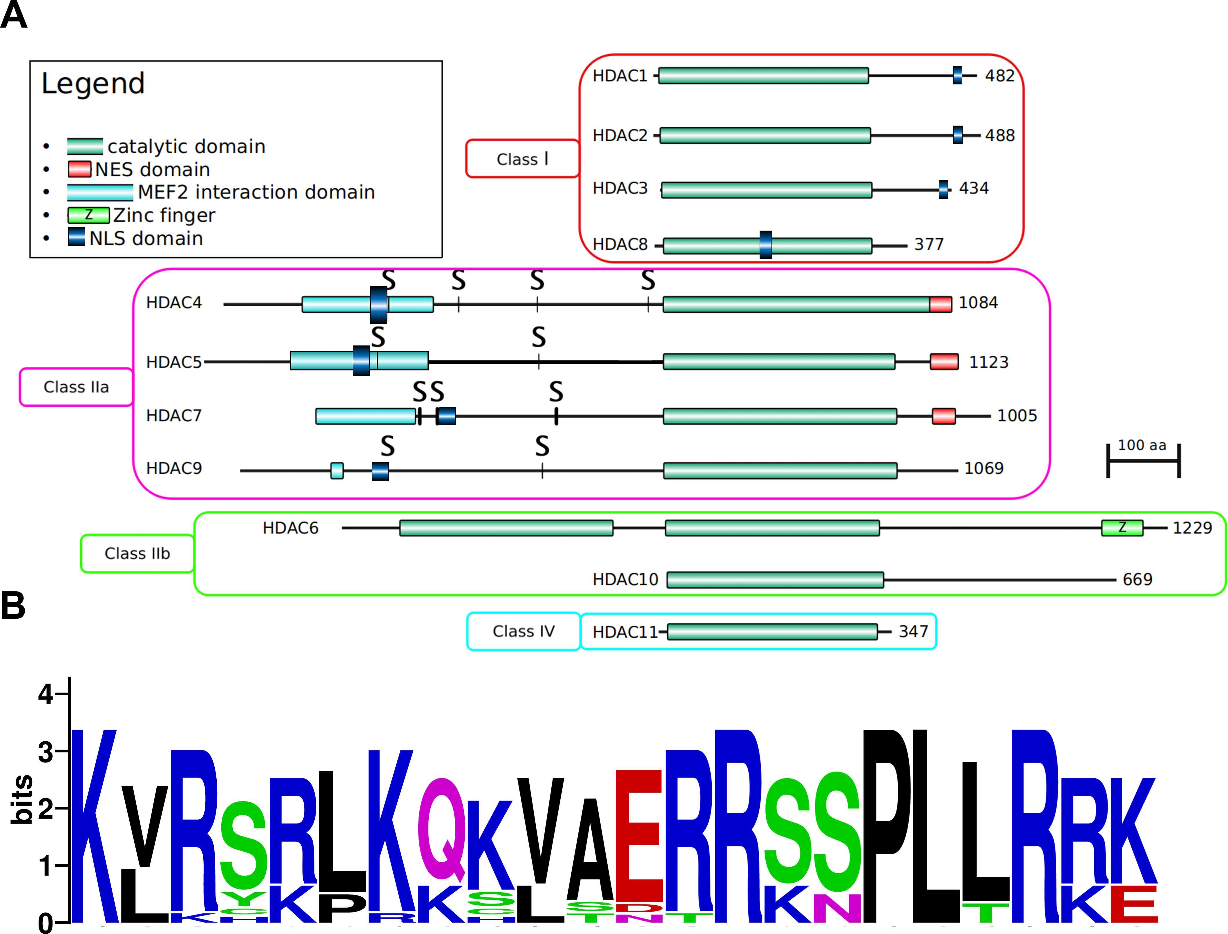 Genes 11 00556 g002