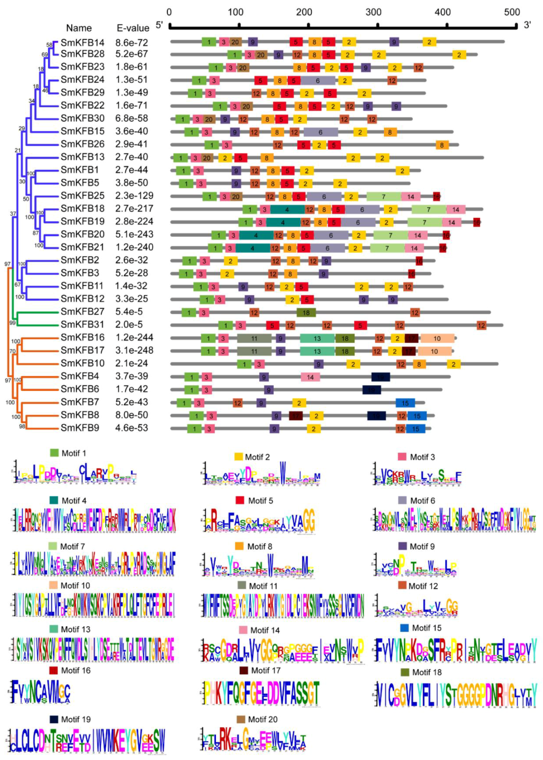 Genes 11 00557 g002 Genes 11 00557 g002
