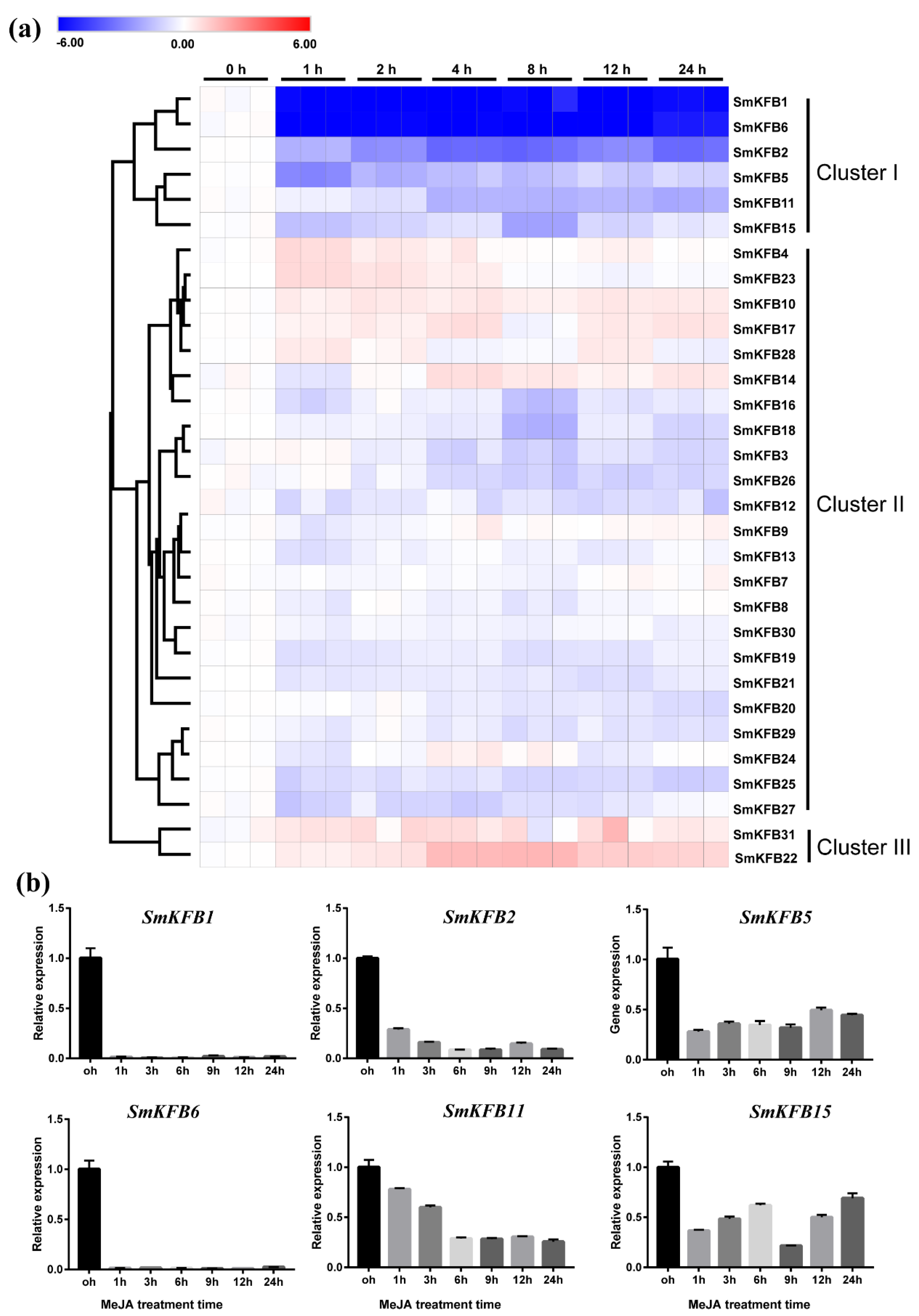 Genes 11 00557 g003 Genes 11 00557 g003