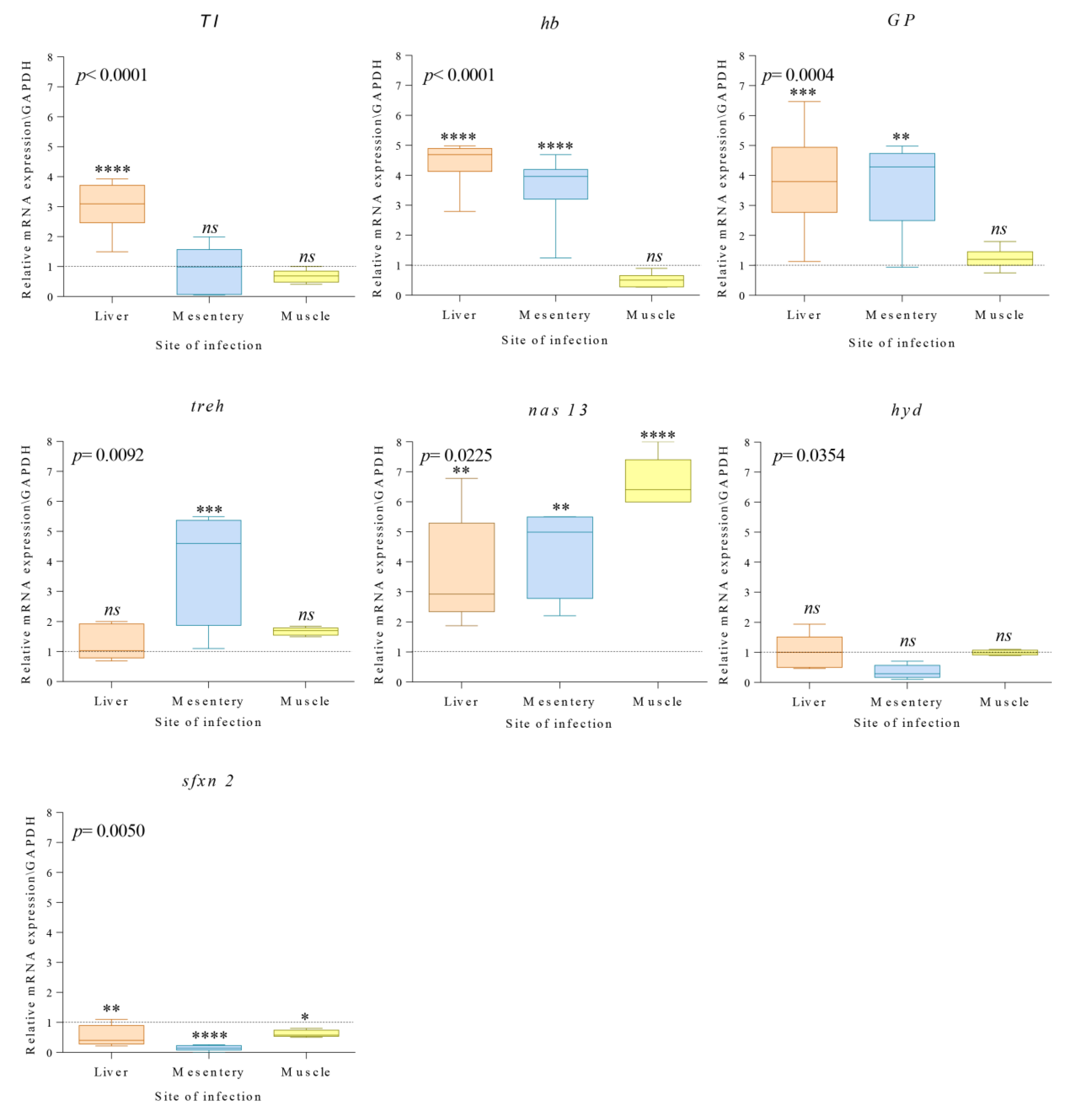 Genes 11 00559 g001