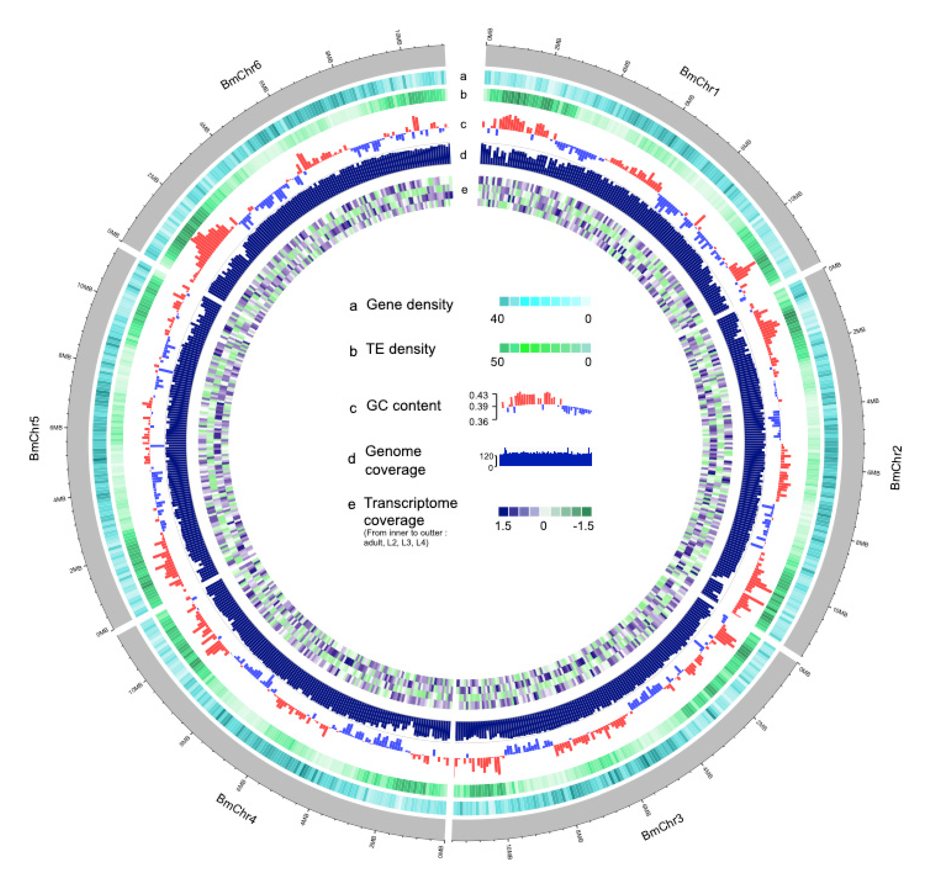Genes 11 00570 g001