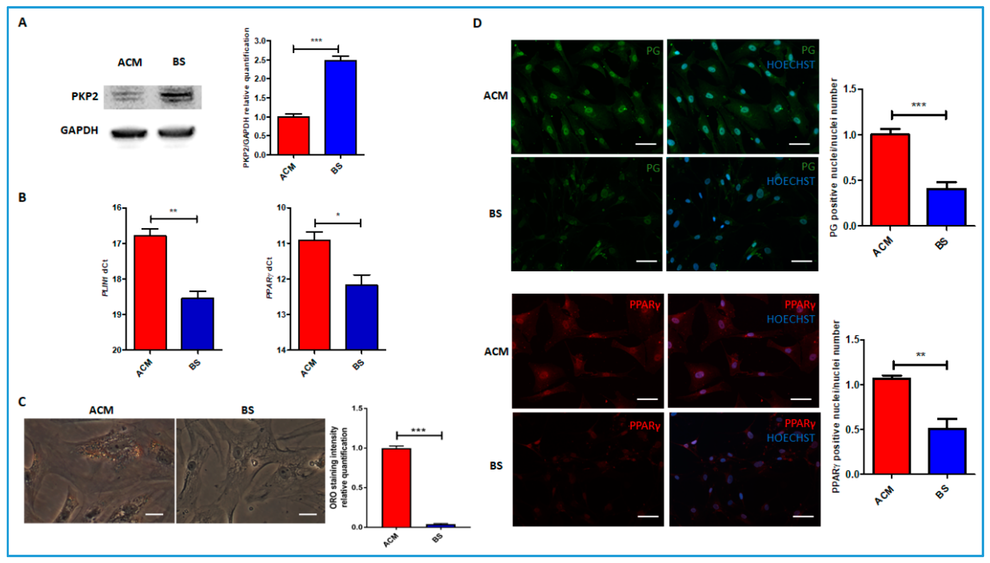 Genes 11 00571 g002 Genes 11 00571 g002