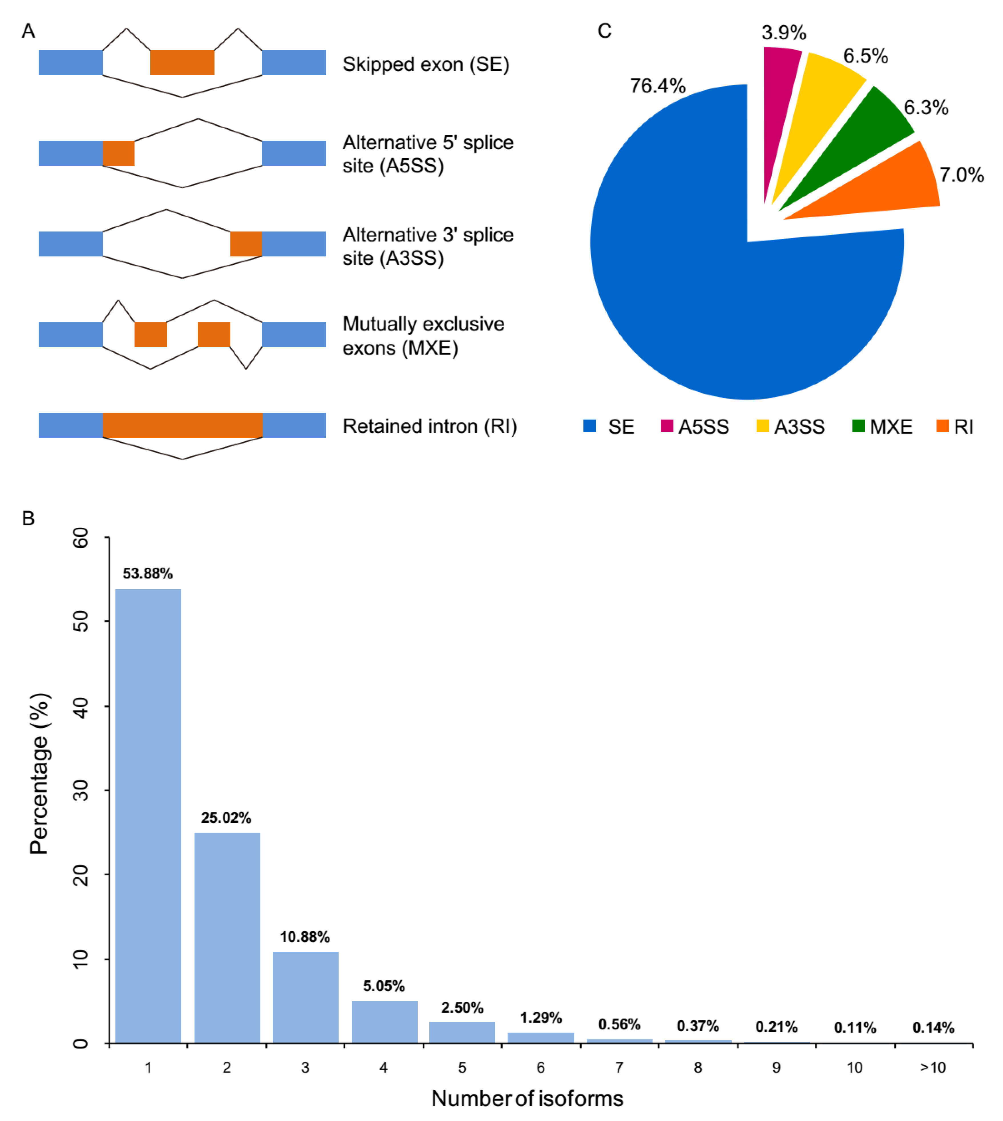 Genes 11 00592 g004 Genes 11 00592 g004