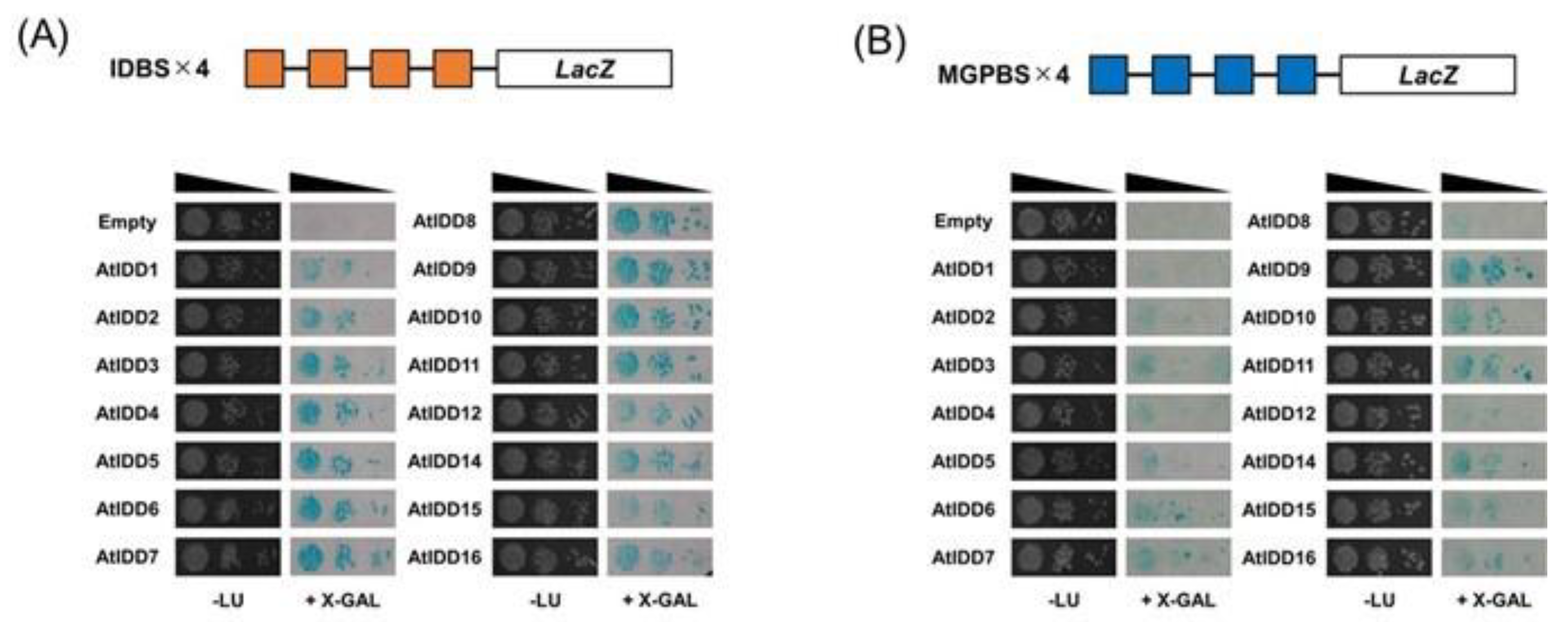 Genes 11 00613 g001 Genes 11 00613 g001