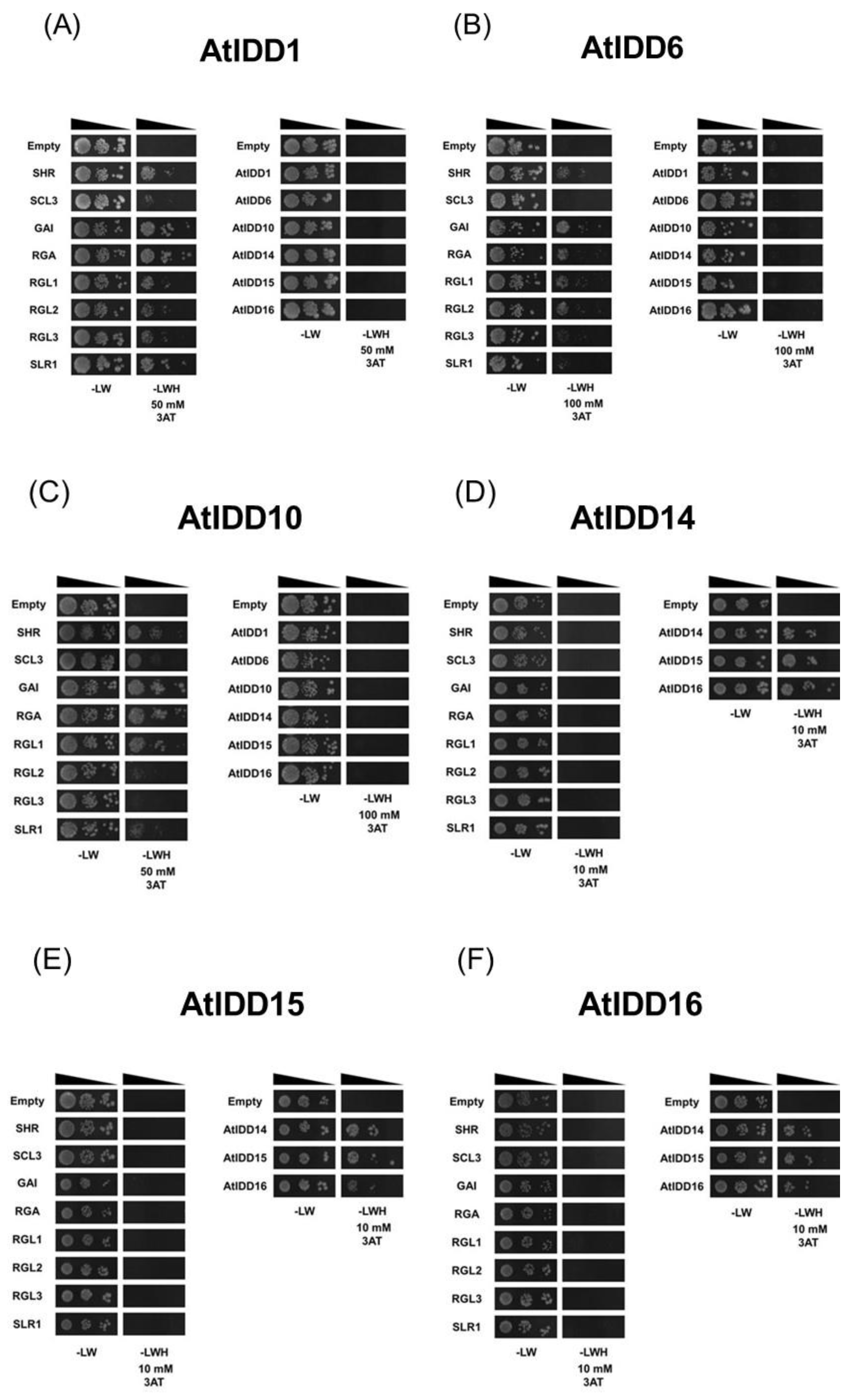 Genes 11 00613 g002a Genes 11 00613 g002a