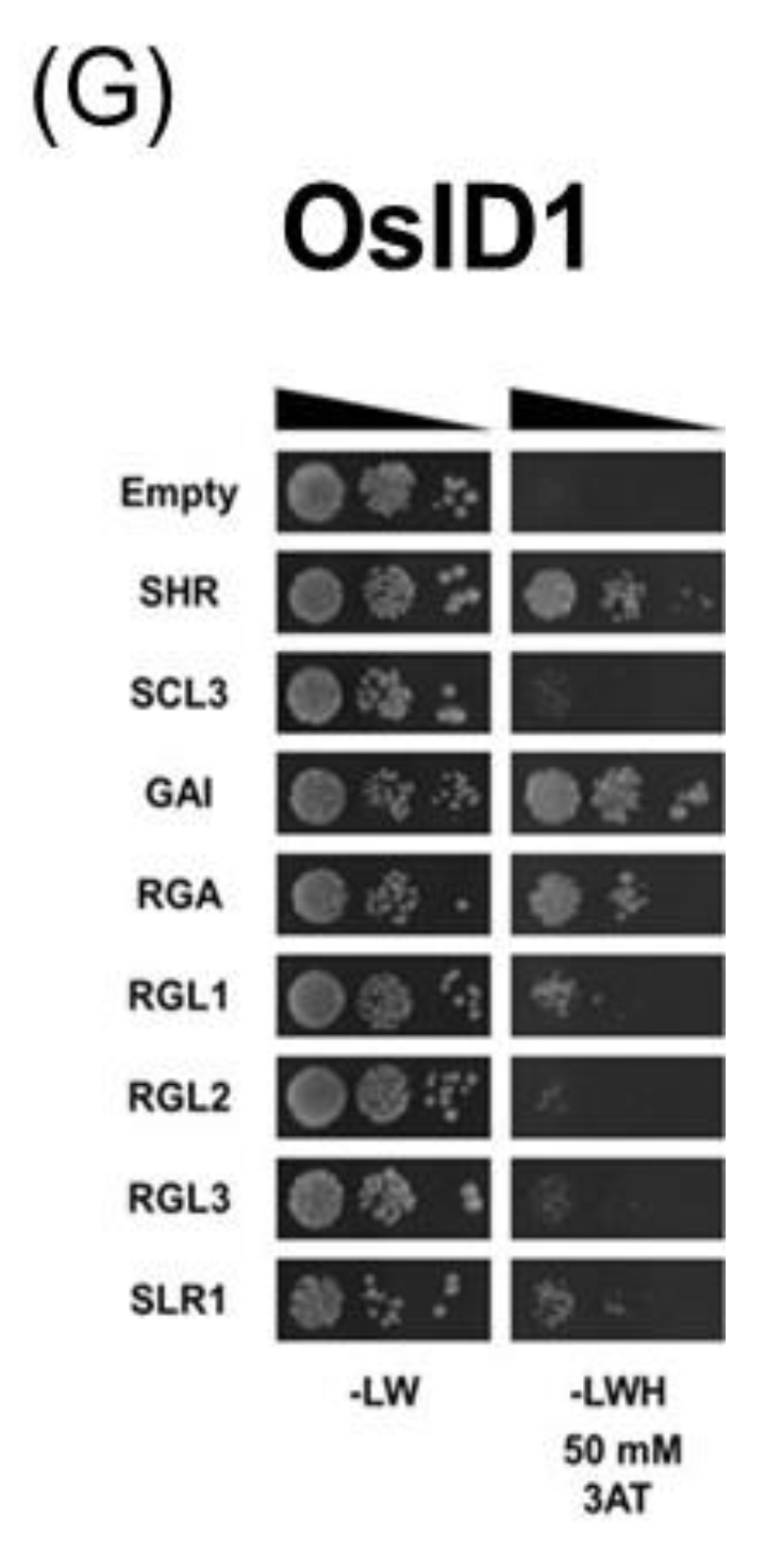 Genes 11 00613 g002b Genes 11 00613 g002b