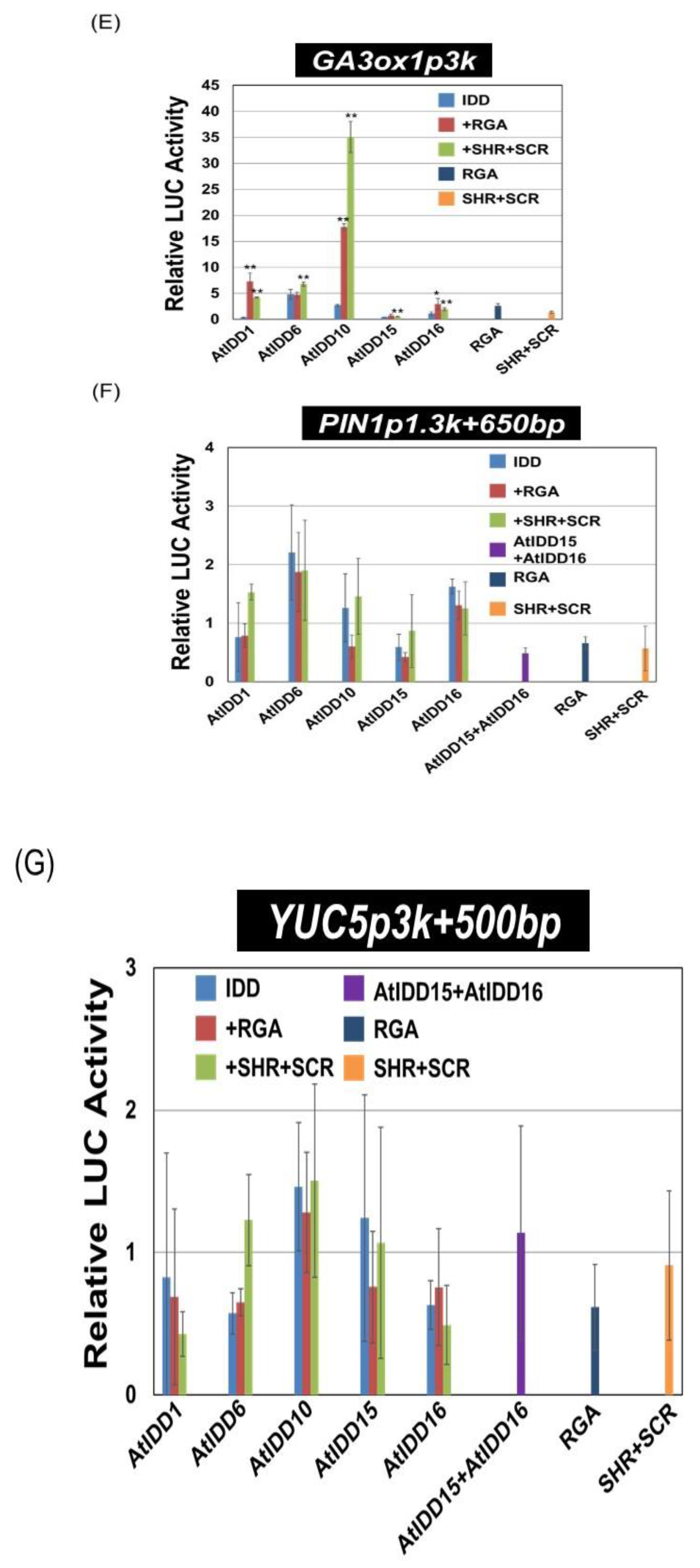 Genes 11 00613 g003b Genes 11 00613 g003b