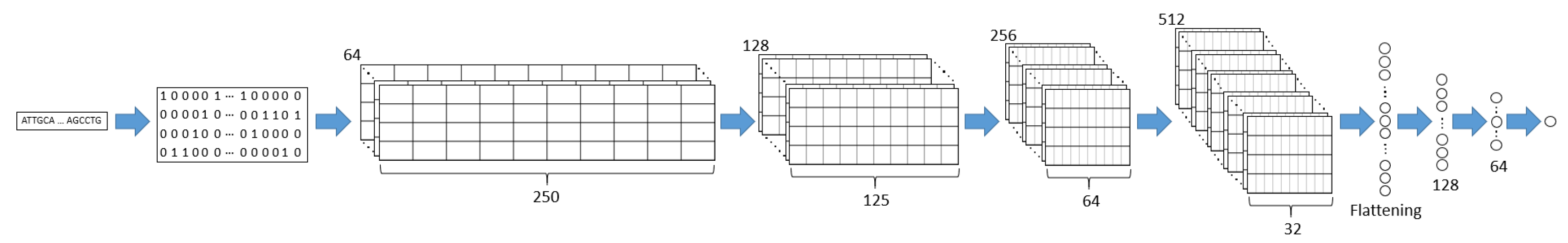 Genes 11 00614 g001 Genes 11 00614 g001
