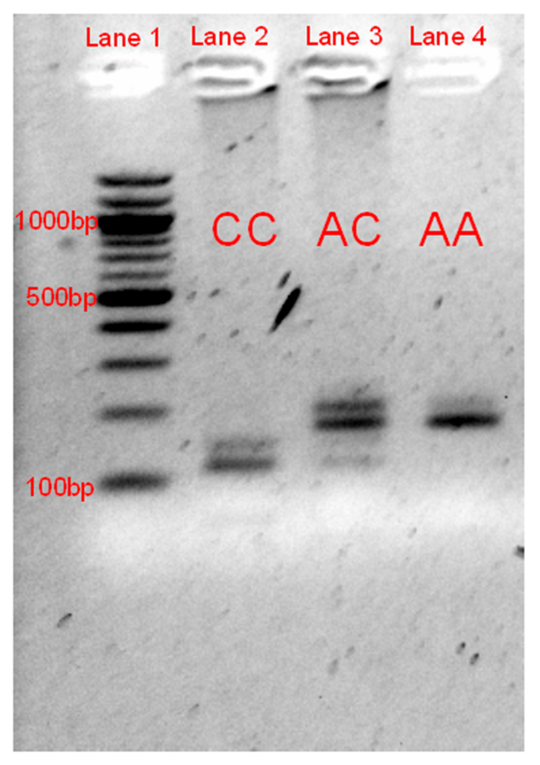 Genes 11 00618 g002