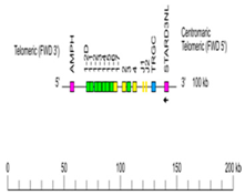 Genes 11 00624 i014 Genes 11 00624 i014