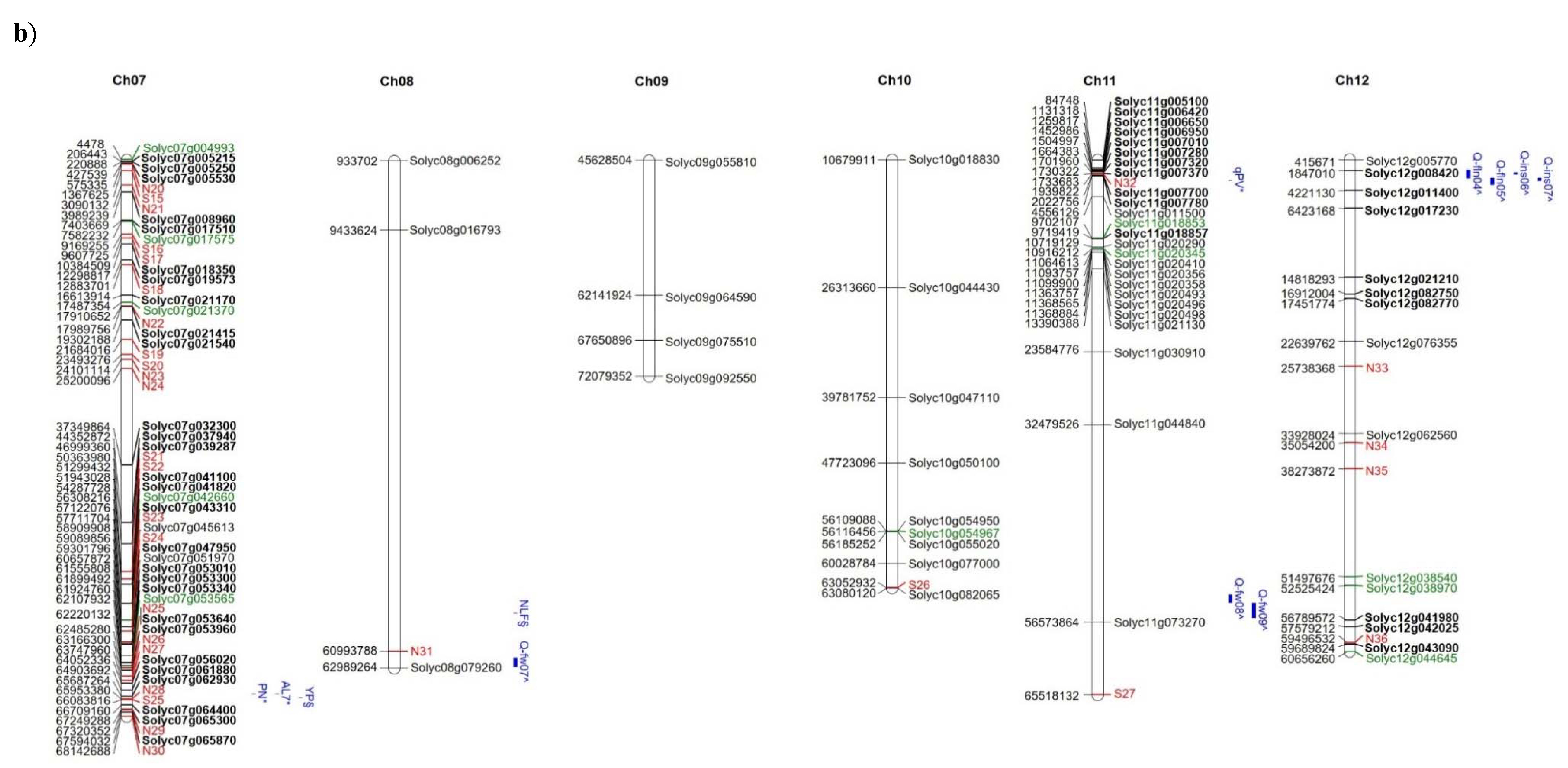 Genes 11 00626 g005b