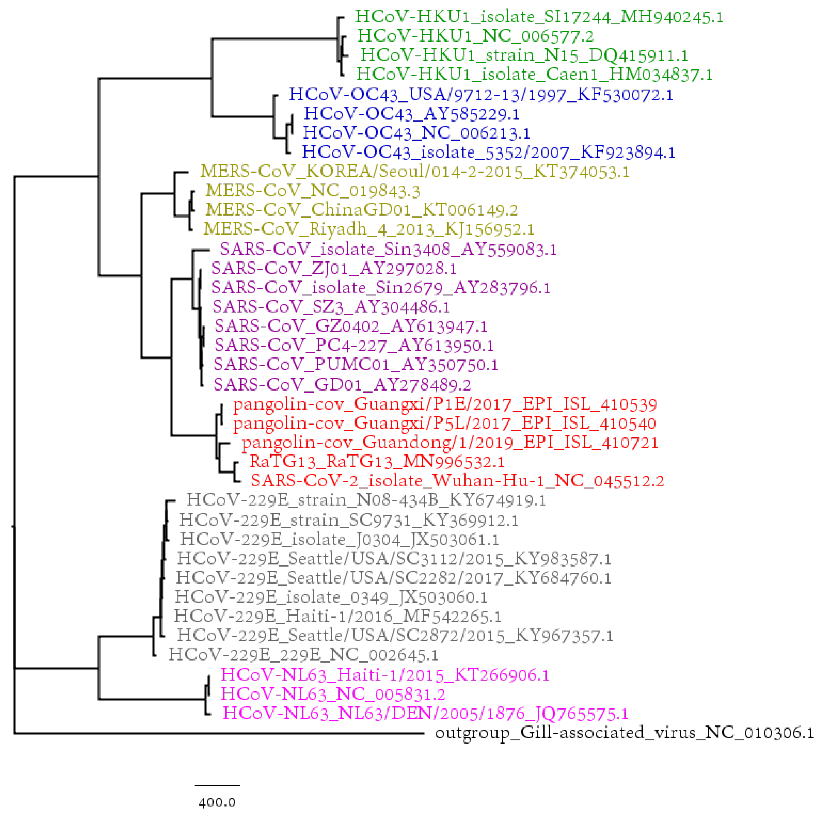 Genes 11 00637 g003