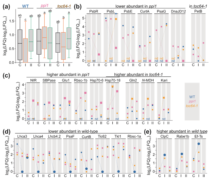 Genes 11 00650 g005