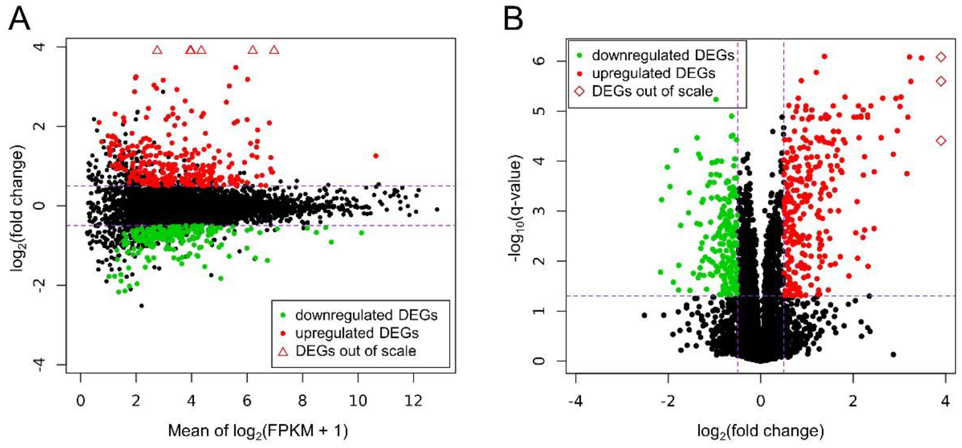 Genes 11 00651 g004