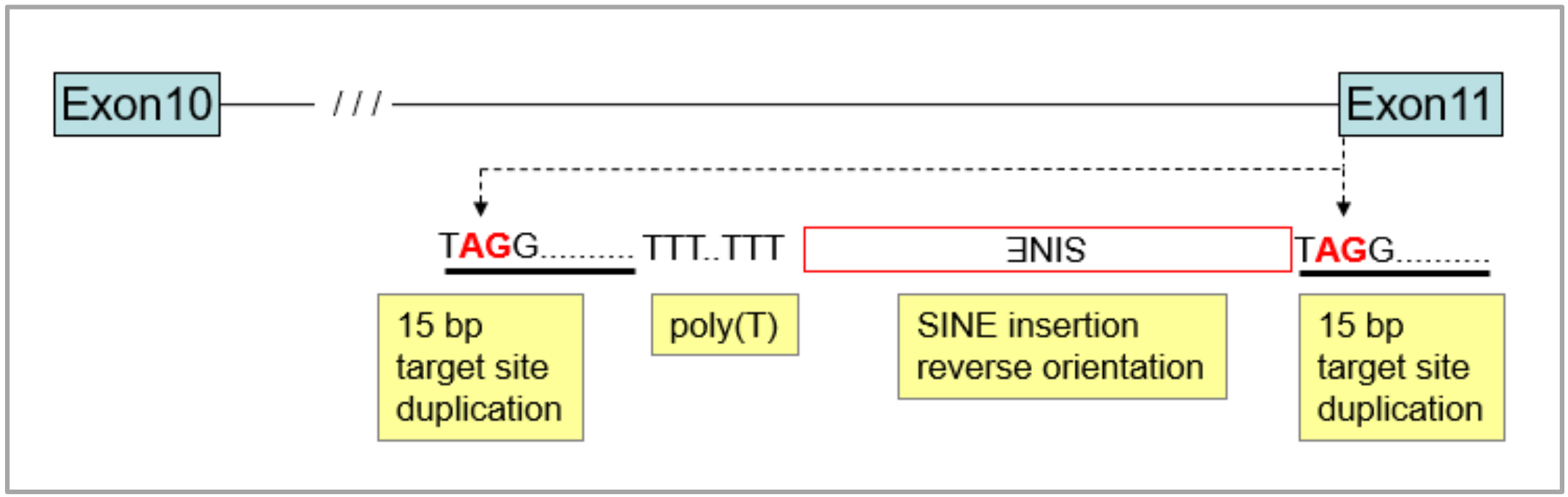 Genes 11 00660 g002 Genes 11 00660 g002