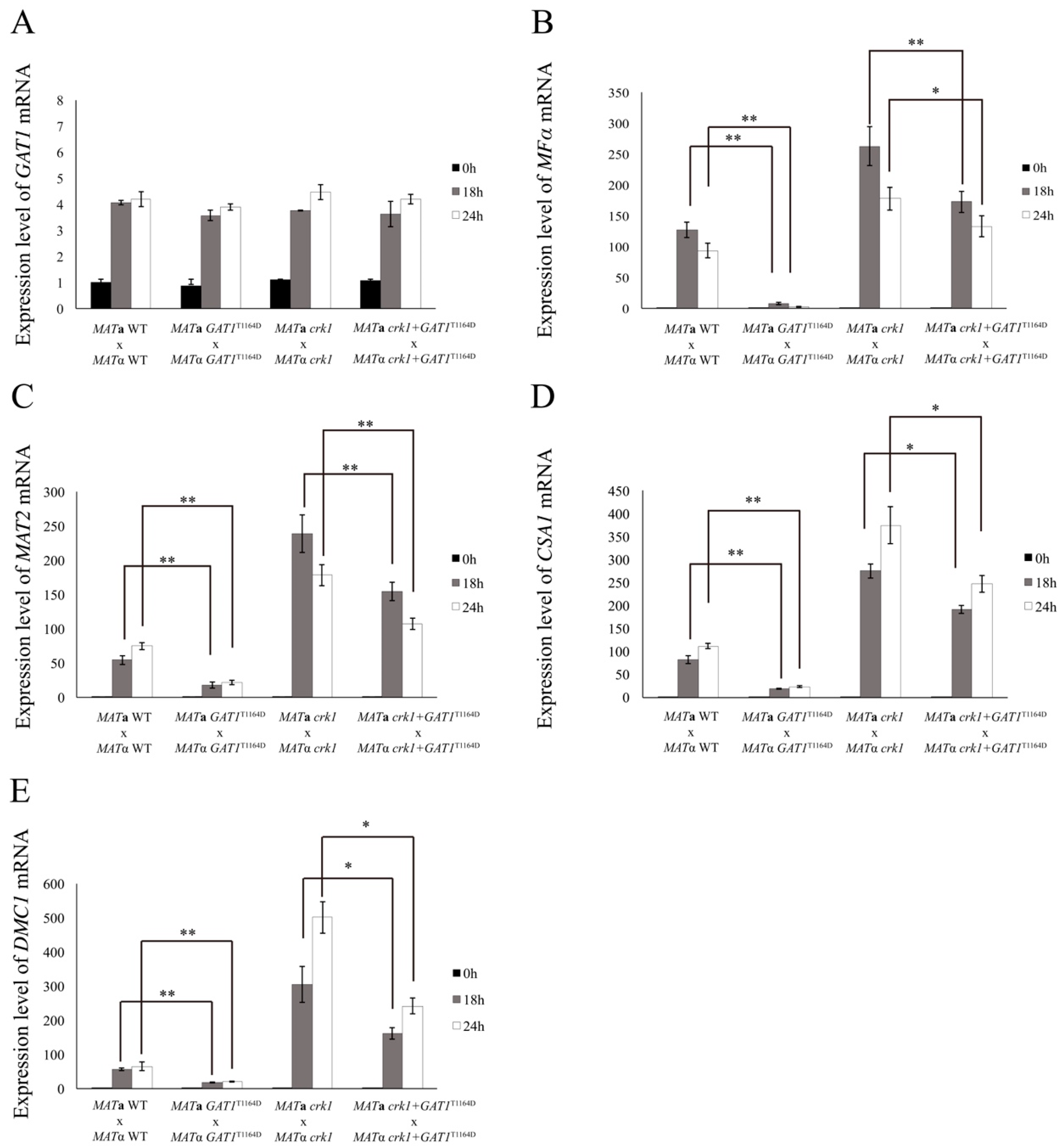 Genes 11 00669 g010 Genes 11 00669 g010