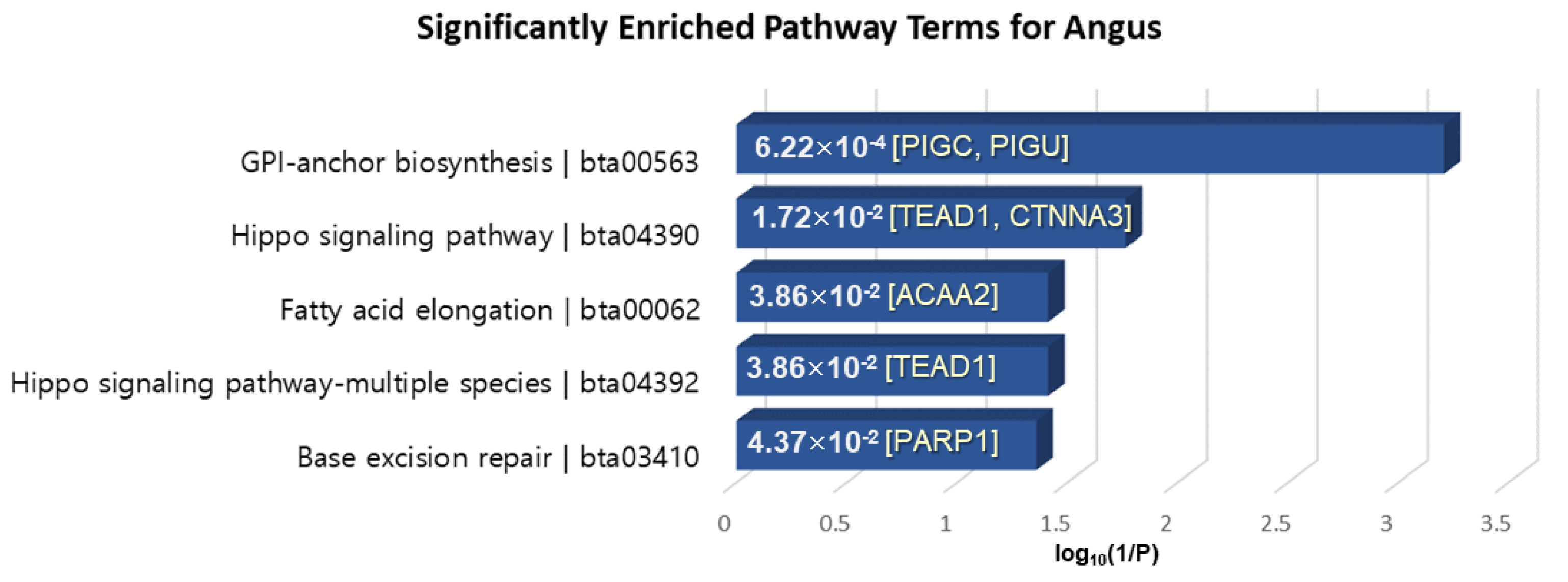 Genes 11 00678 g007