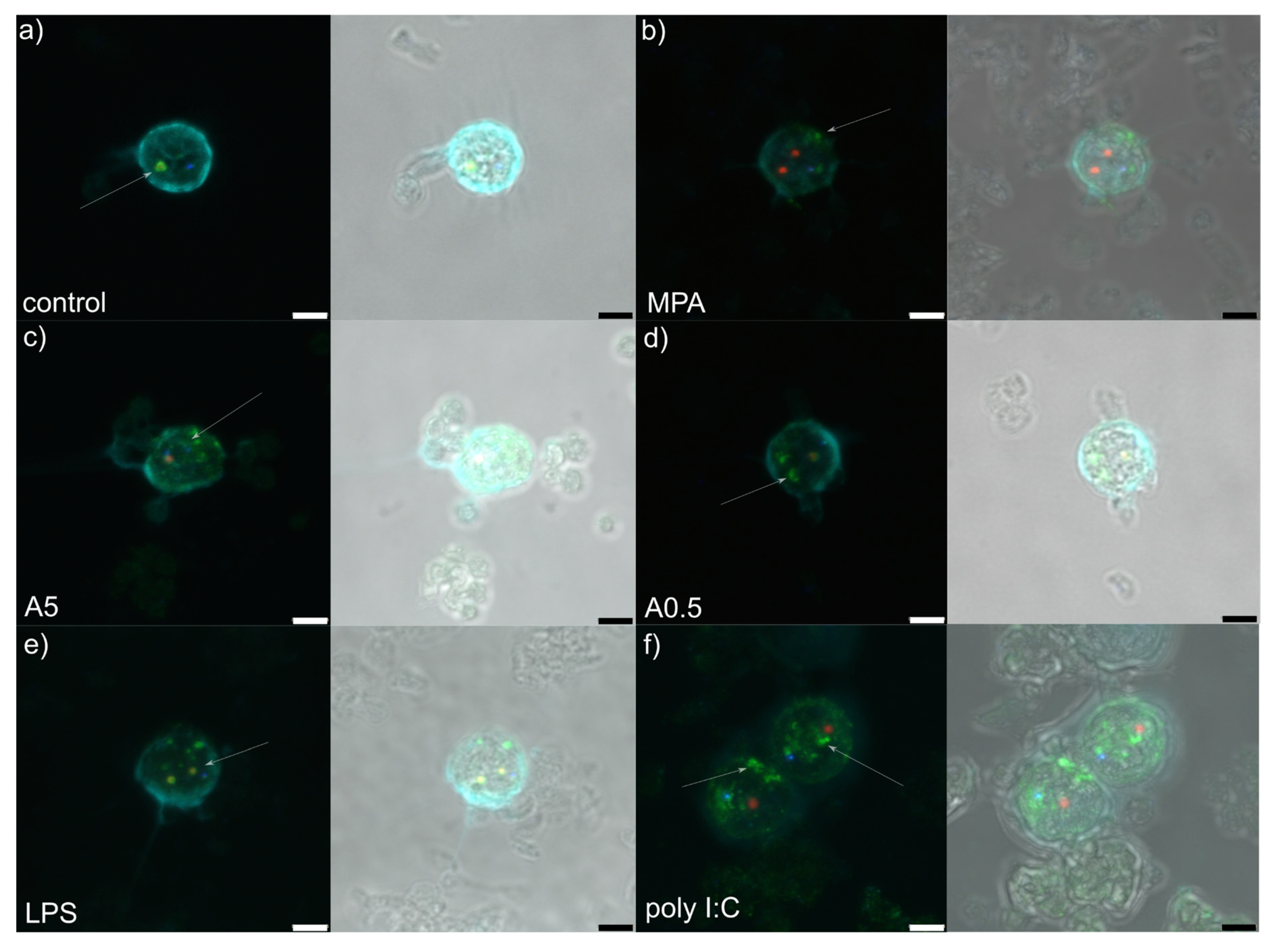 Genes 11 00688 g002 Genes 11 00688 g002