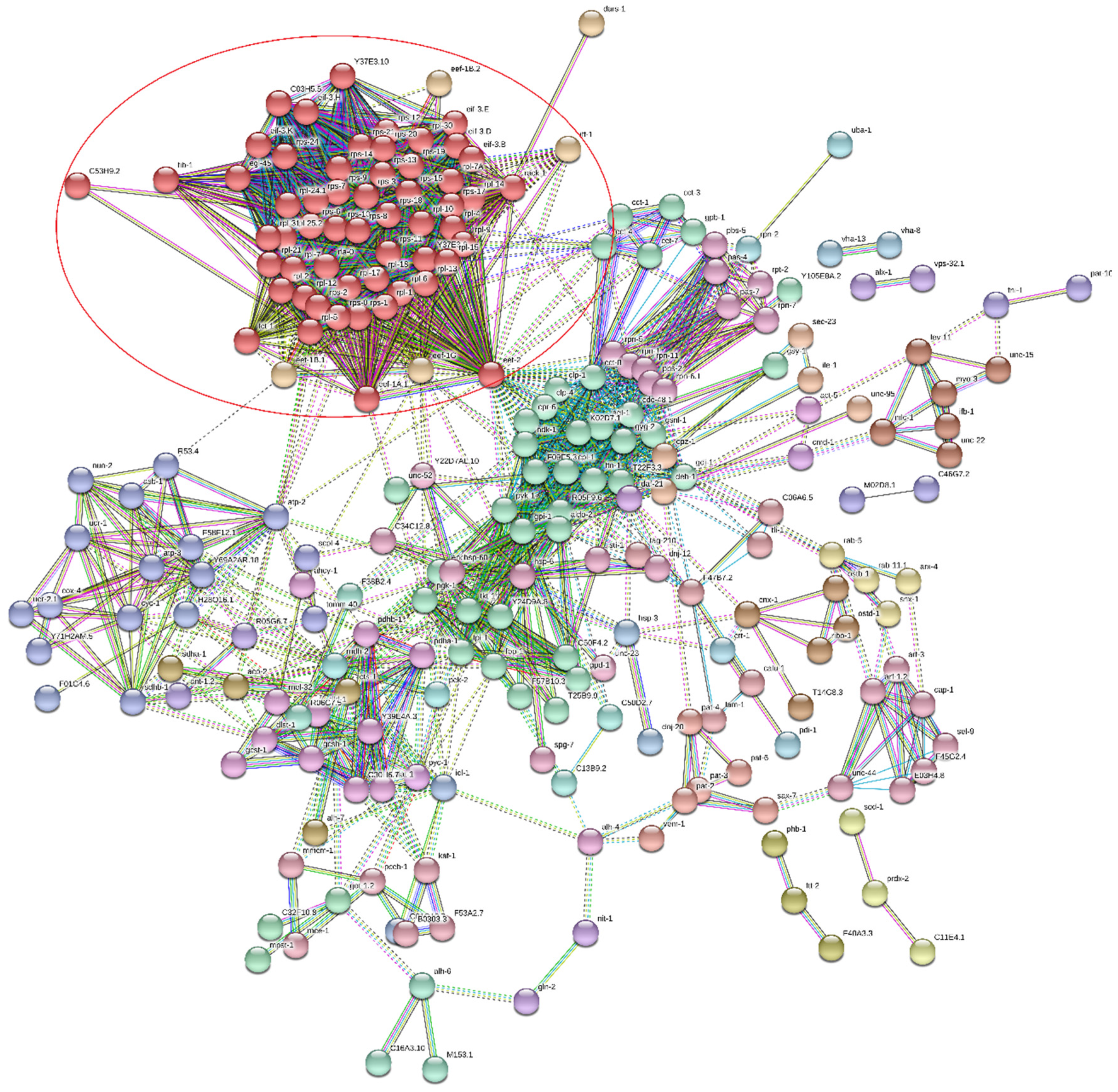 Genes 11 00693 g009 Genes 11 00693 g009