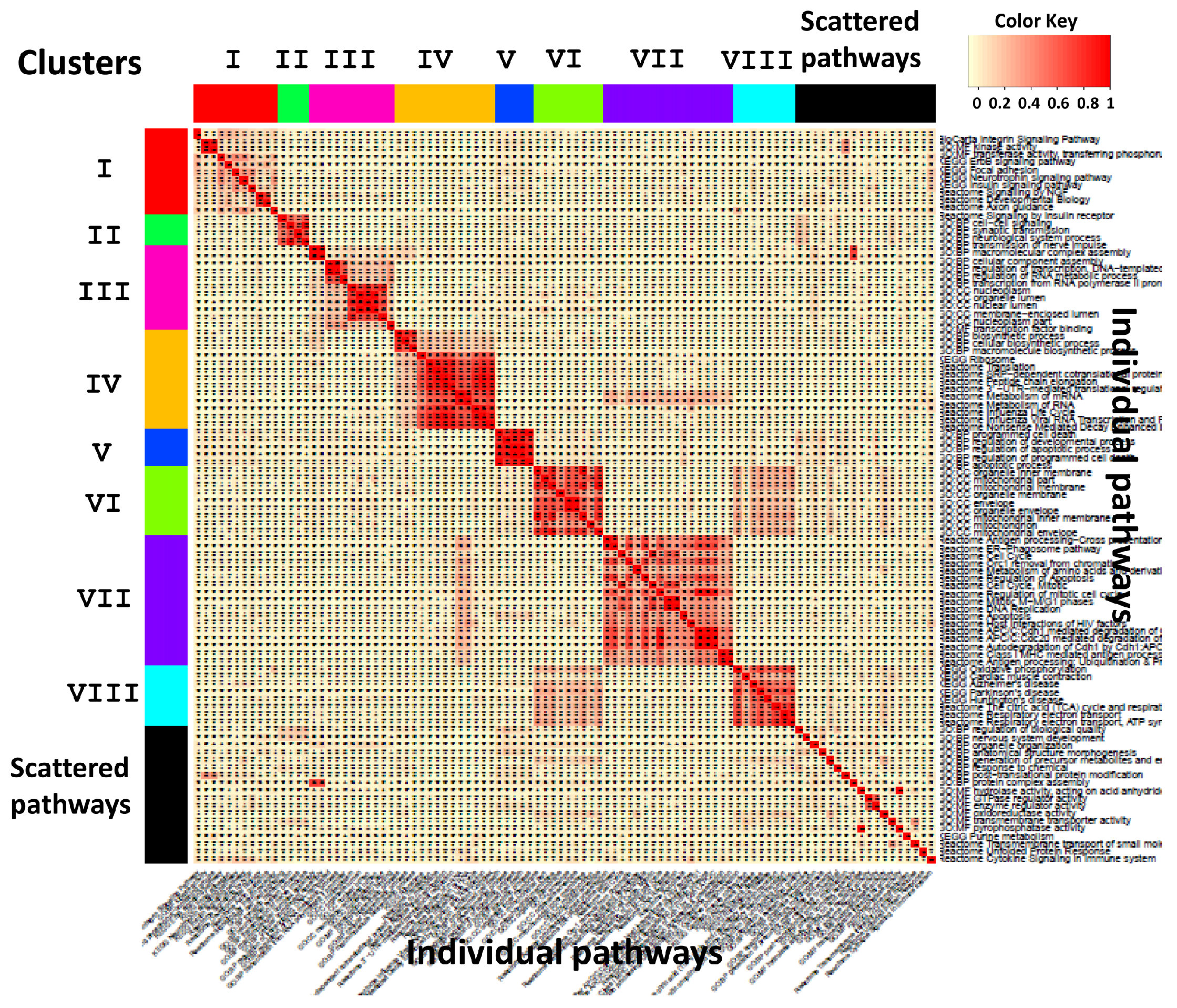 Genes 11 00696 g003 Genes 11 00696 g003