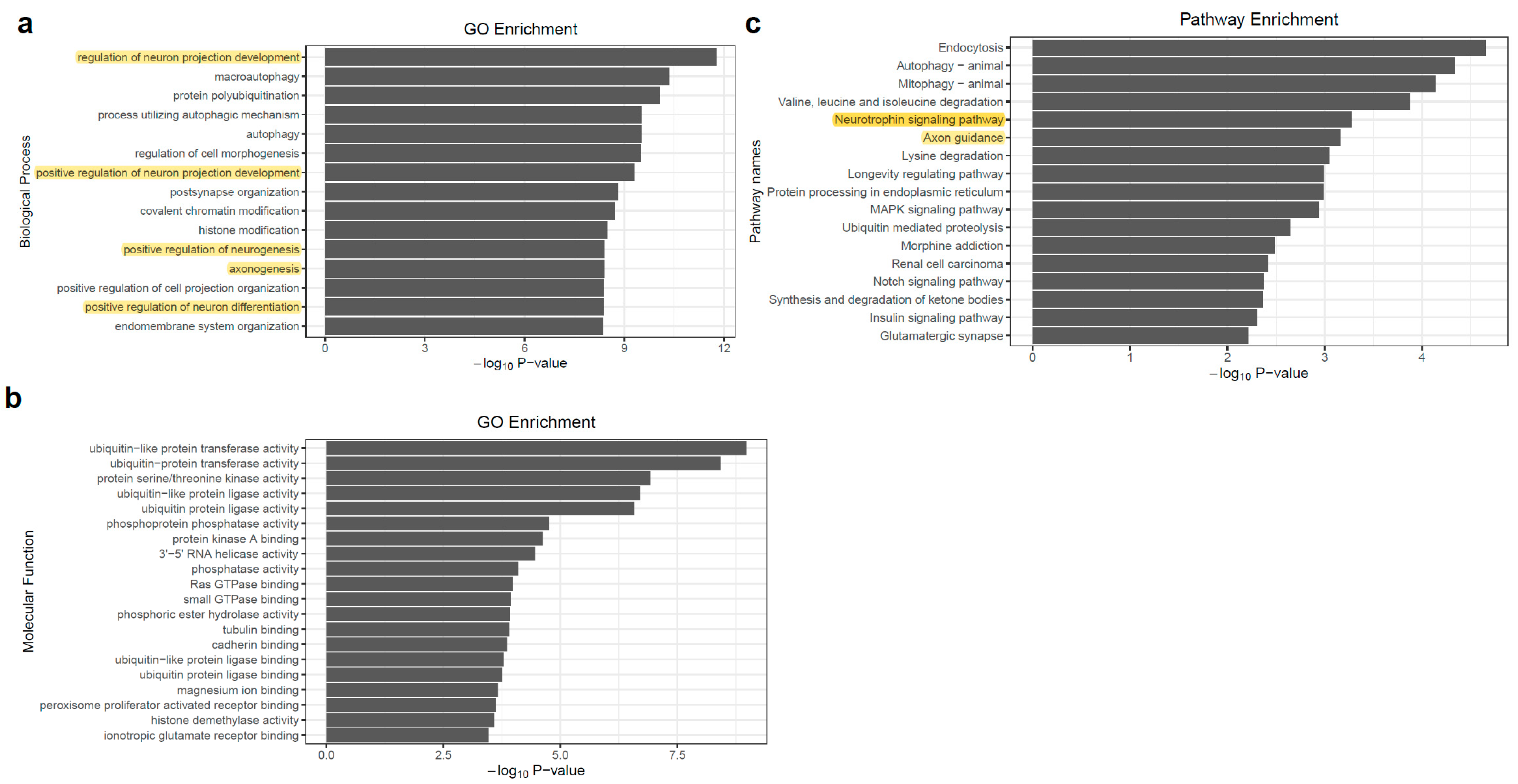 Genes 11 00709 g004 Genes 11 00709 g004