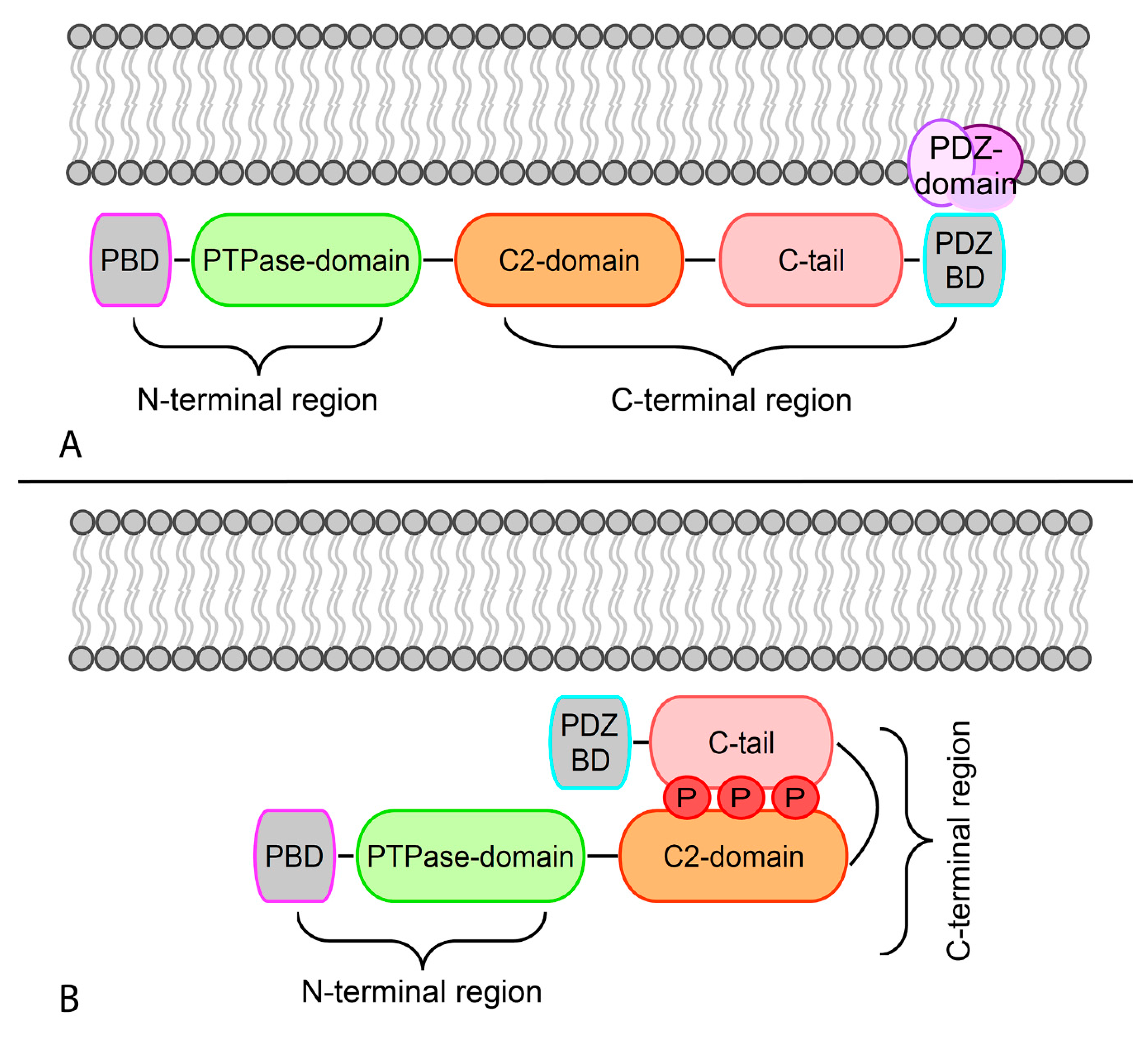 Genes 11 00719 g001 Genes 11 00719 g001