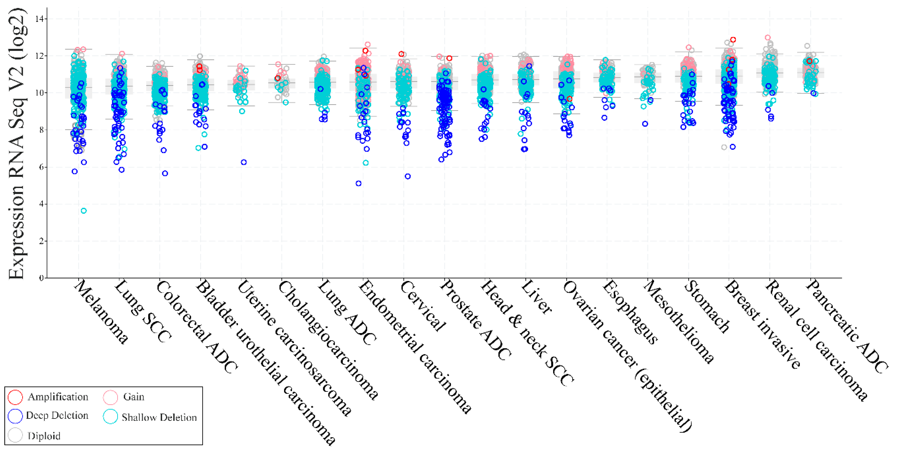 Genes 11 00719 g006 Genes 11 00719 g006