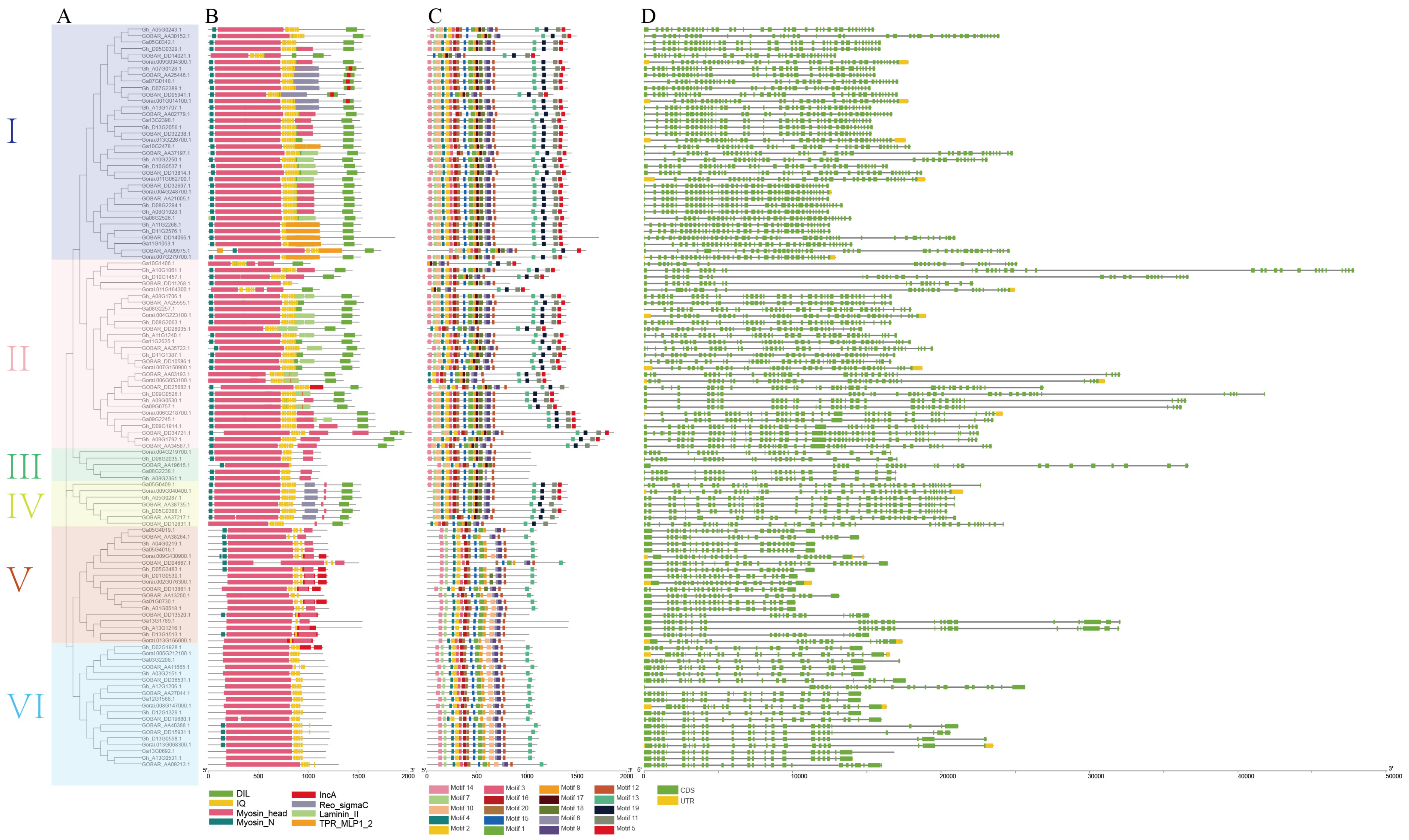 Genes 11 00731 g001 Genes 11 00731 g001