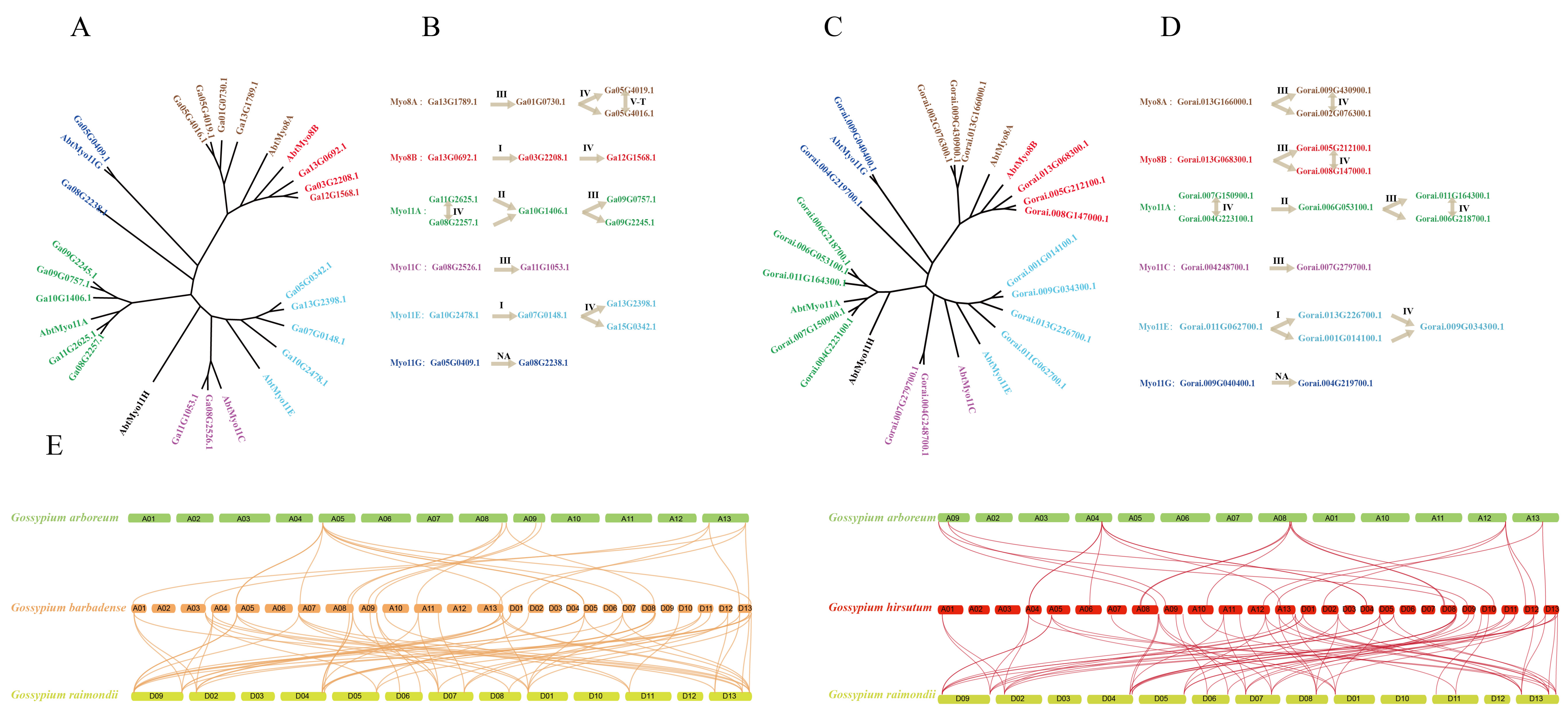 Genes 11 00731 g002 Genes 11 00731 g002
