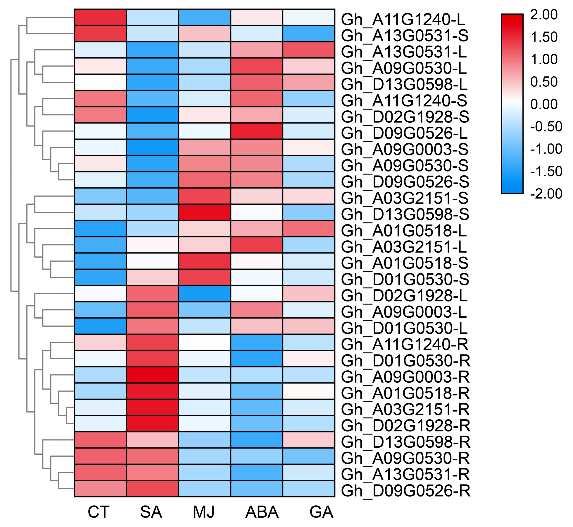 Genes 11 00731 g003 Genes 11 00731 g003