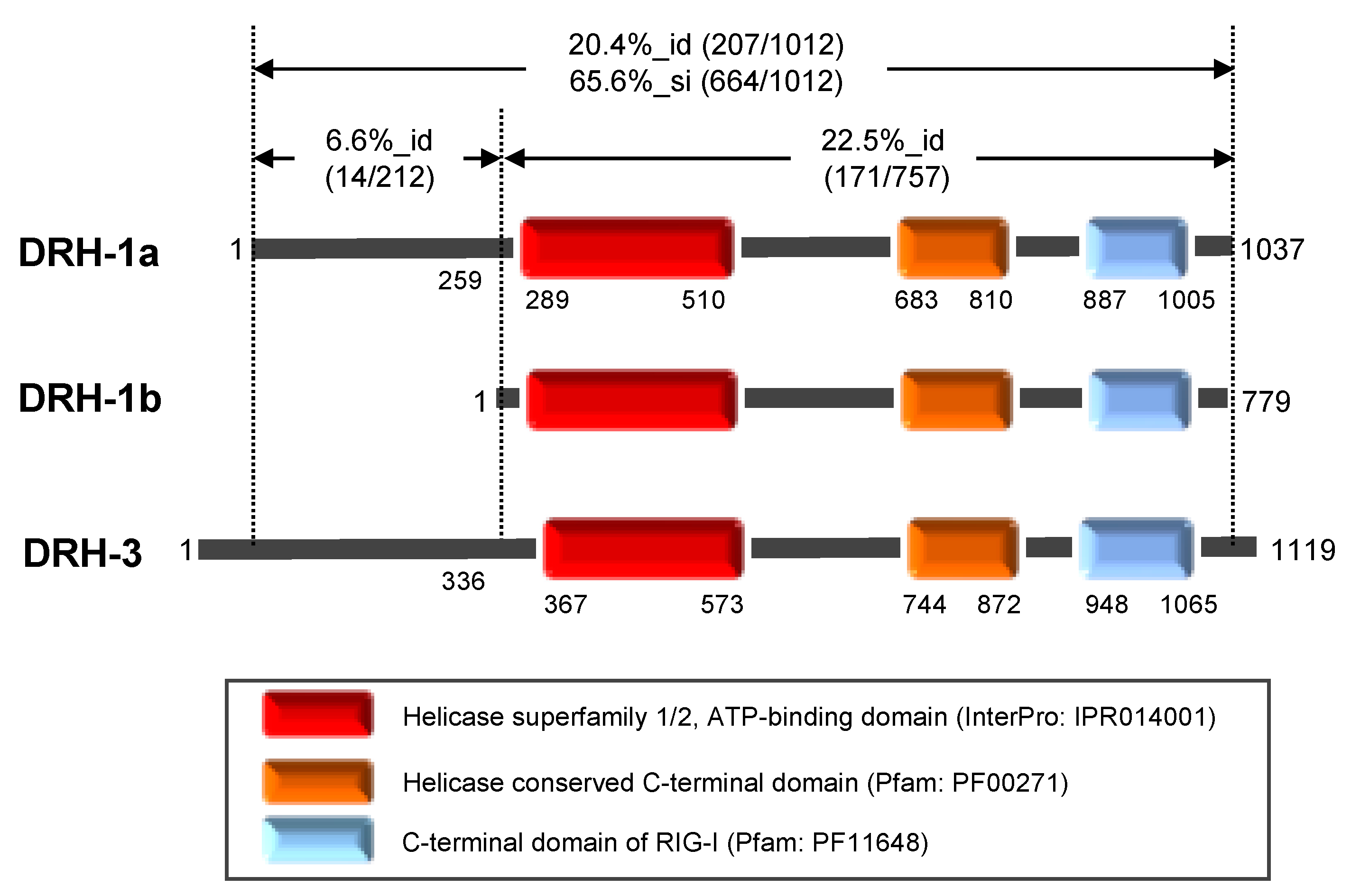 Genes 11 00734 g001 Genes 11 00734 g001