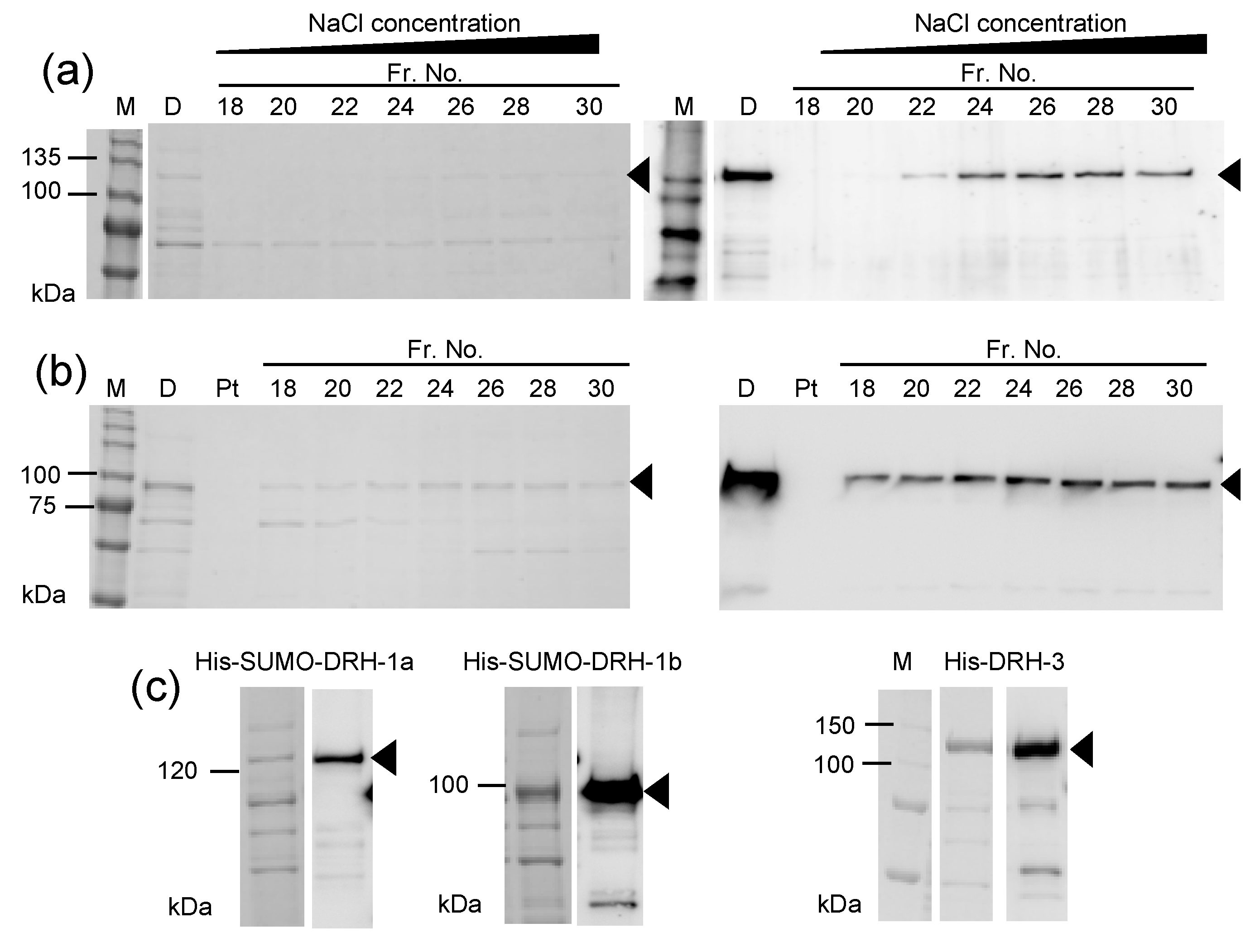 Genes 11 00734 g004 Genes 11 00734 g004