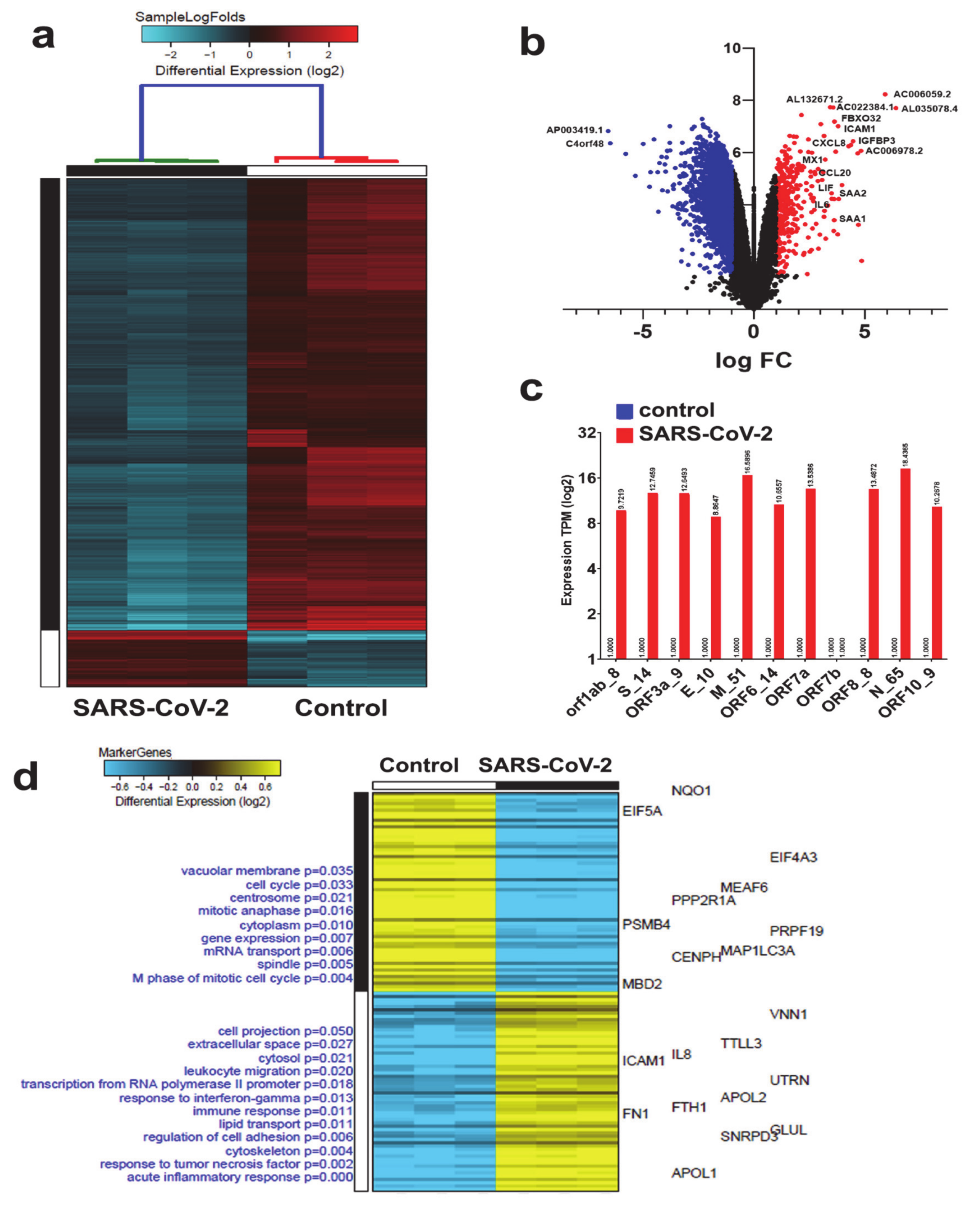 Genes 11 00760 g001 Genes 11 00760 g001