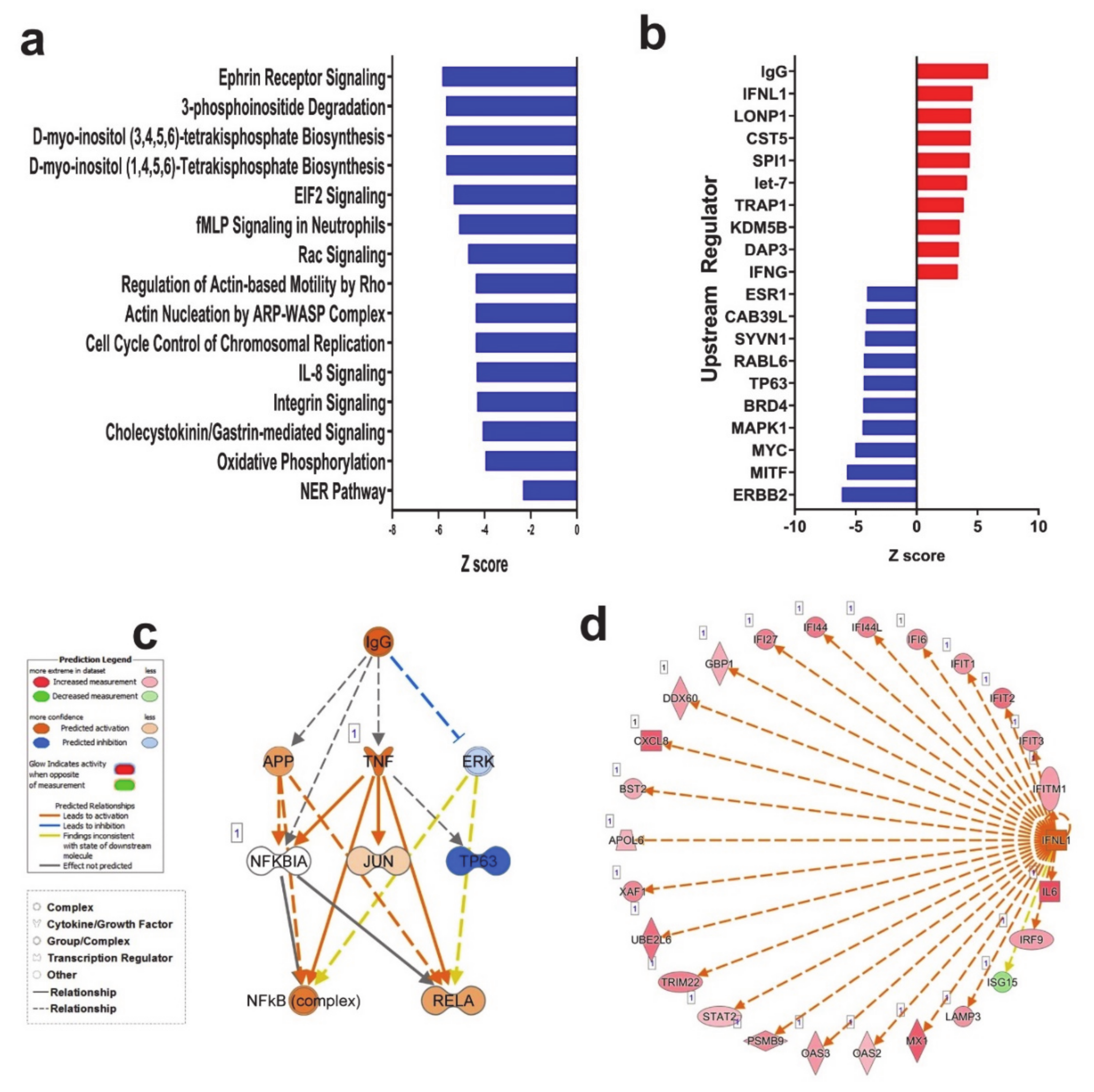 Genes 11 00760 g002 Genes 11 00760 g002